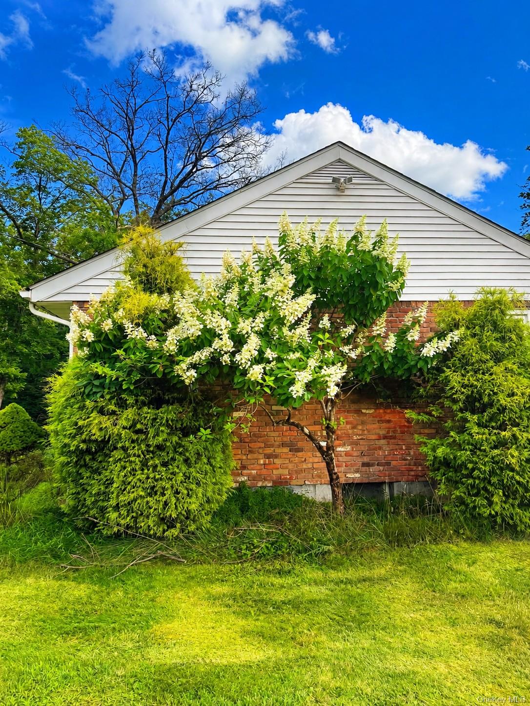 183 White Road – For Sale photo 14