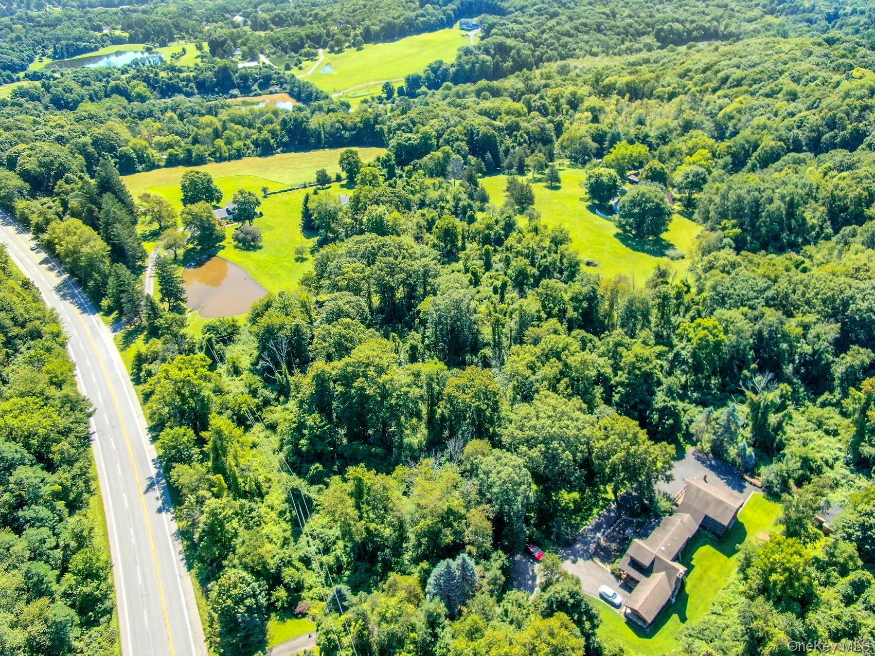 Route 55 – For Sale photo 3