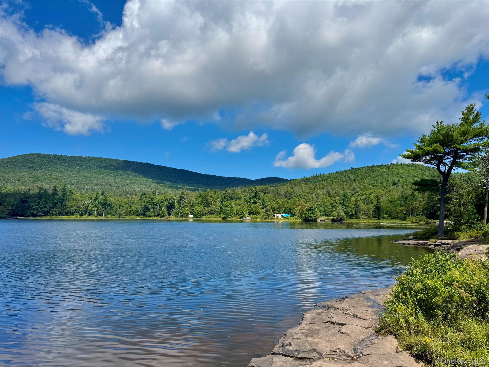 398 Lake Road – For Sale photo 33