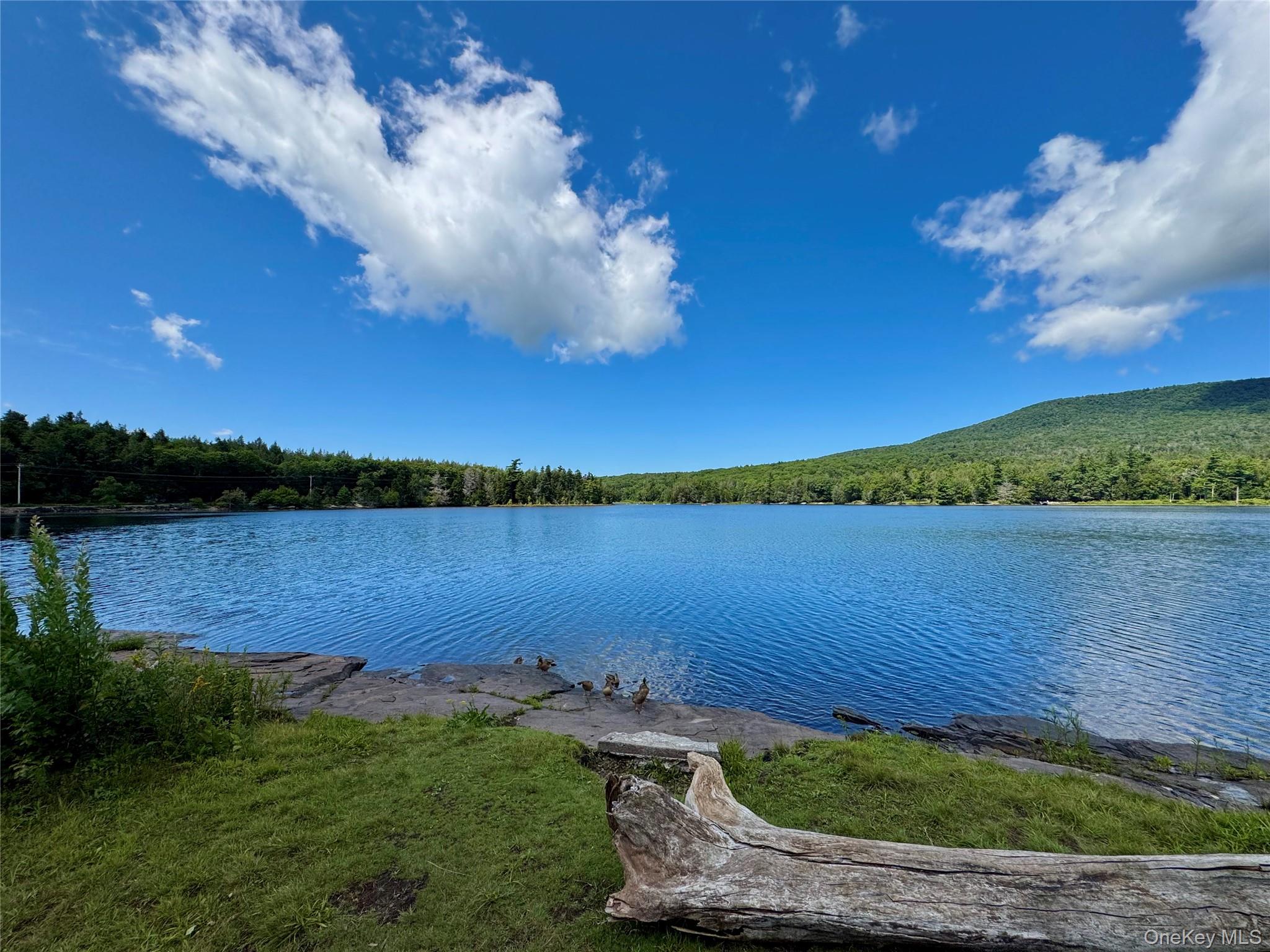 398 Lake Road – For Sale photo 31