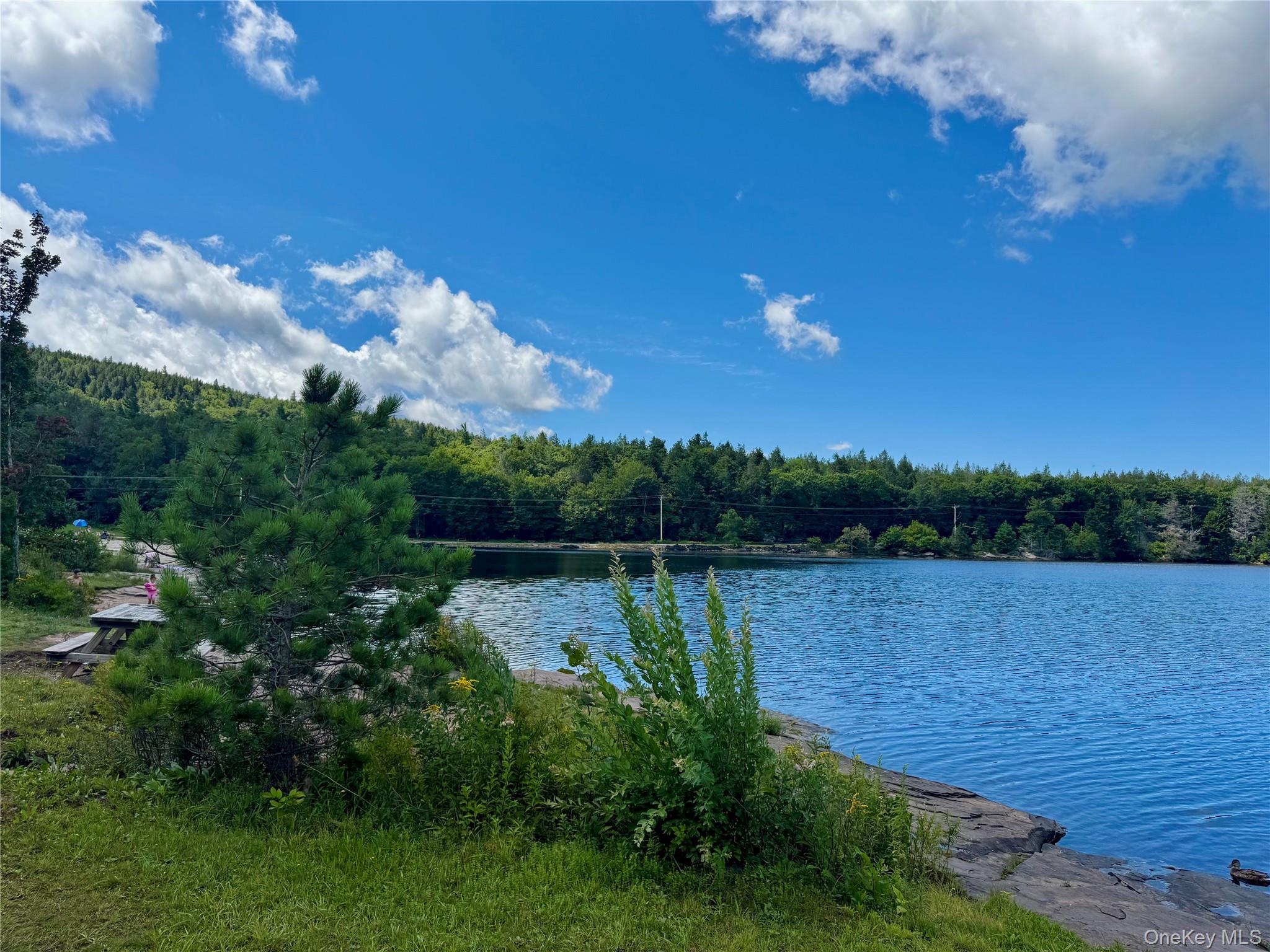 398 Lake Road – For Sale photo 32