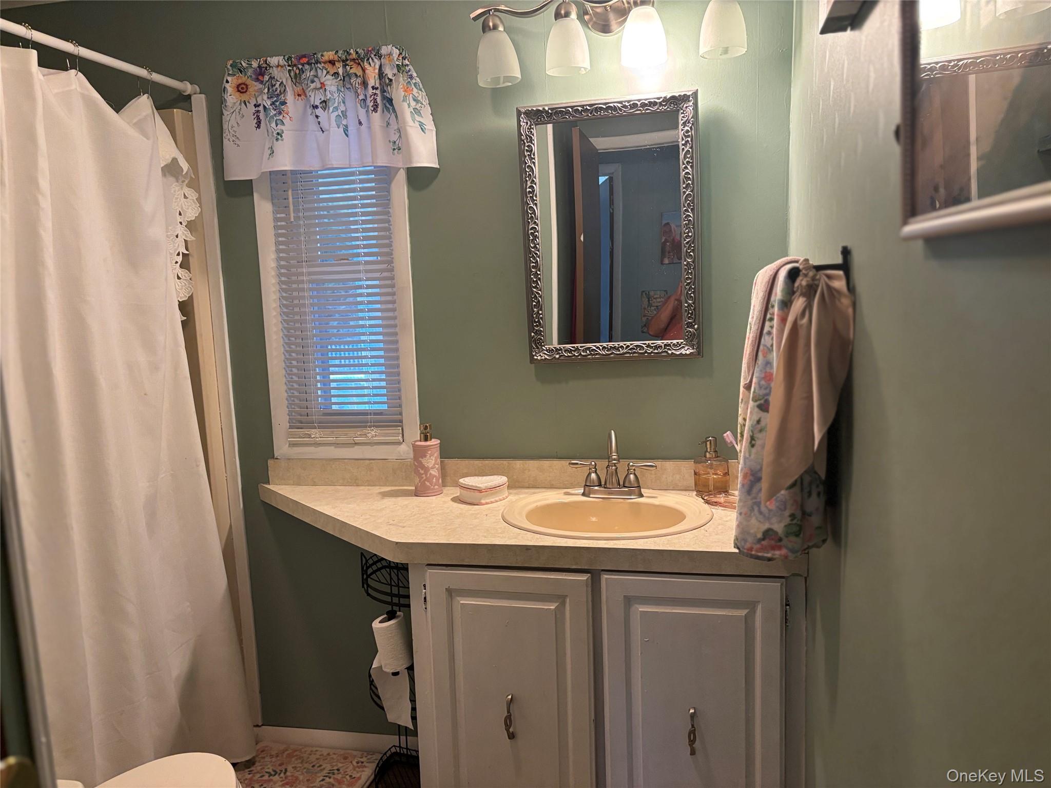 1661 Old Country Road, Unit 454 photo 42