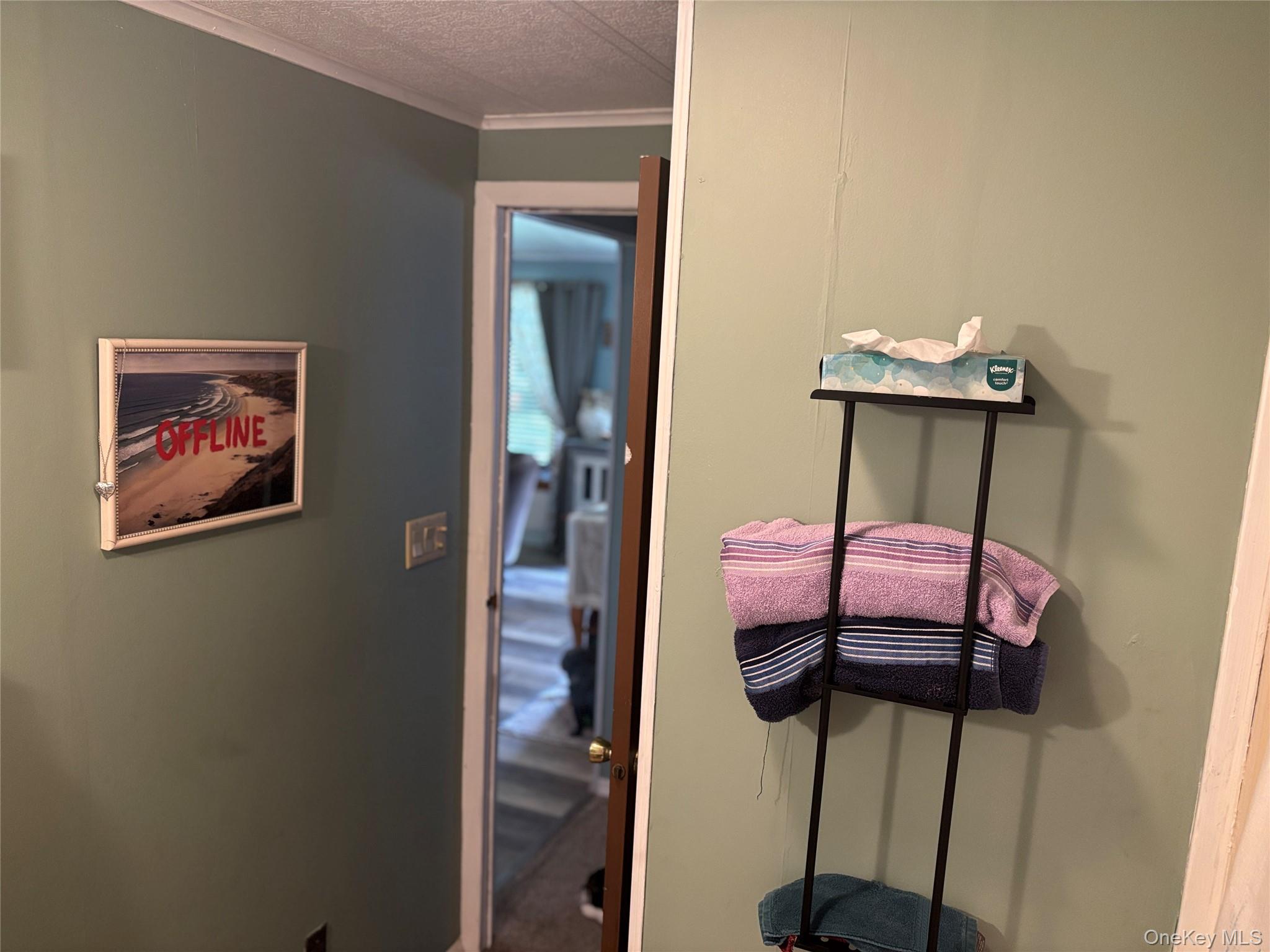 1661 Old Country Road, Unit 454 photo 43