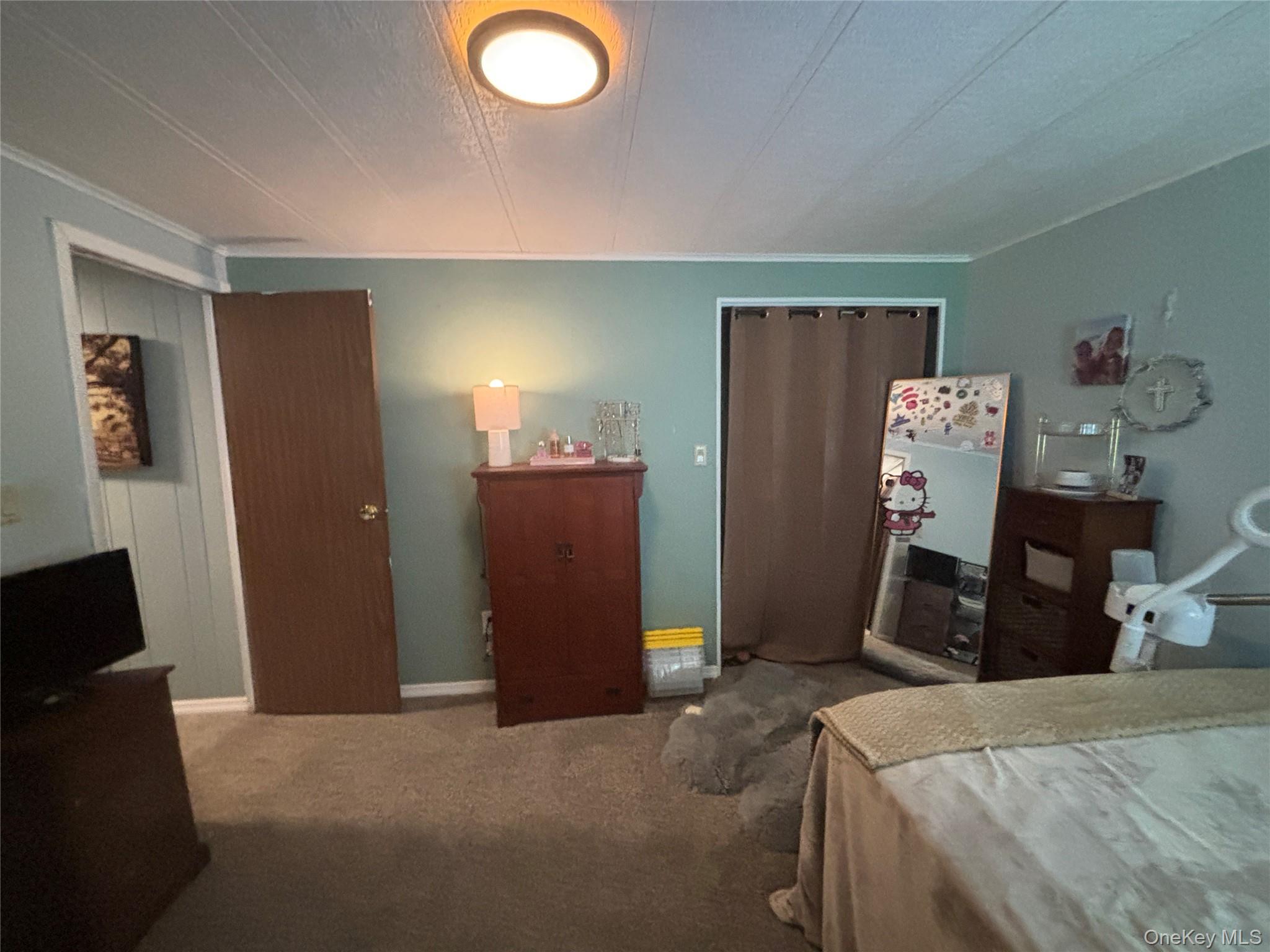1661 Old Country Road, Unit 454 photo 39