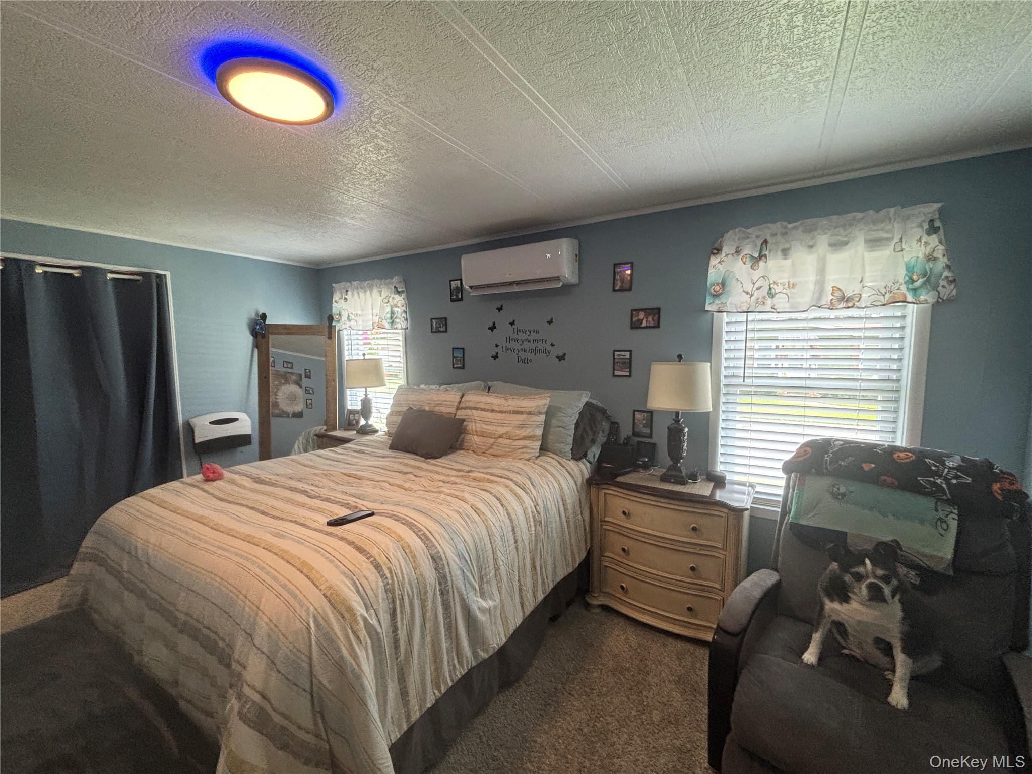 1661 Old Country Road, Unit 454 photo 33