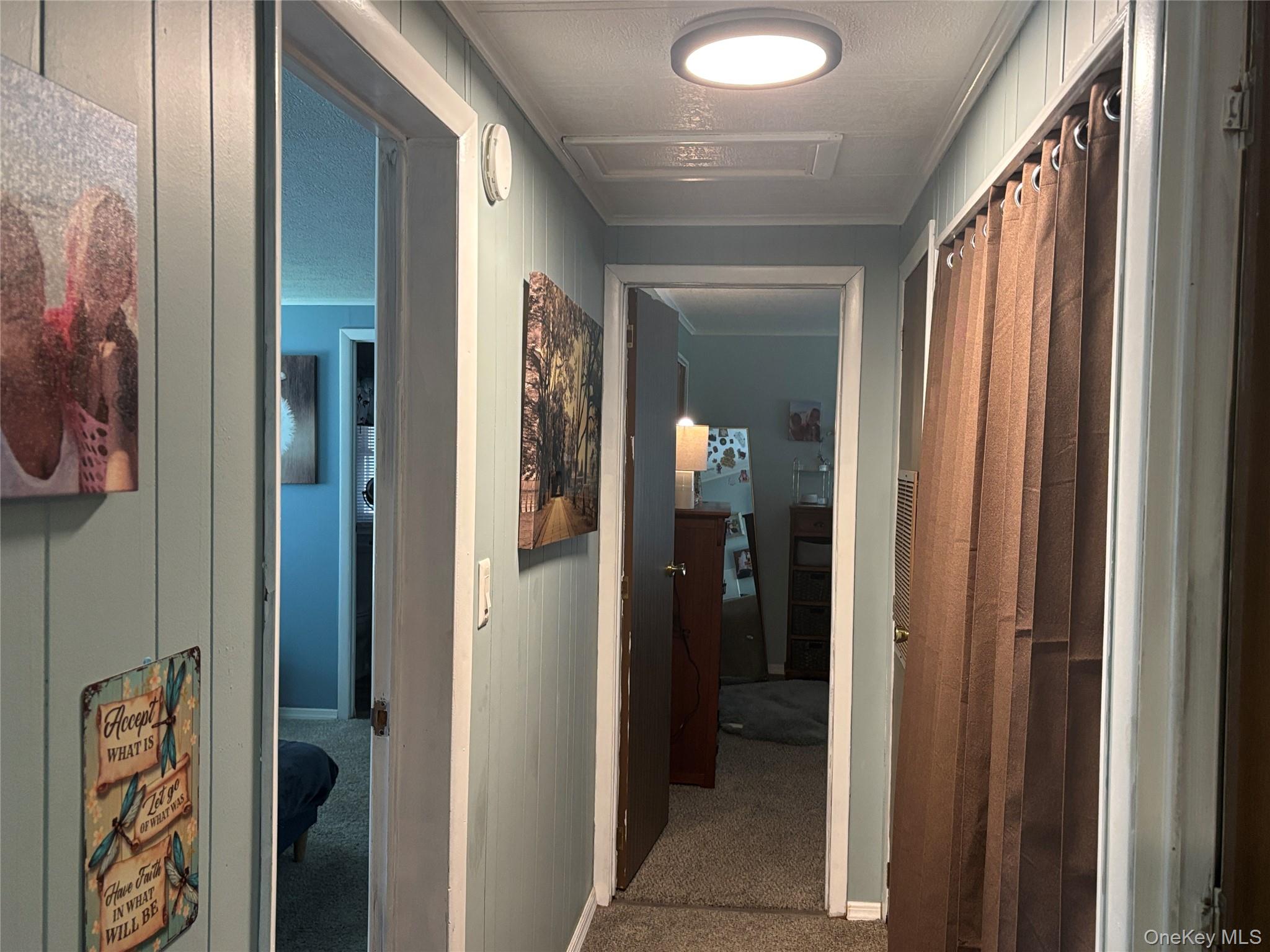1661 Old Country Road, Unit 454 photo 40