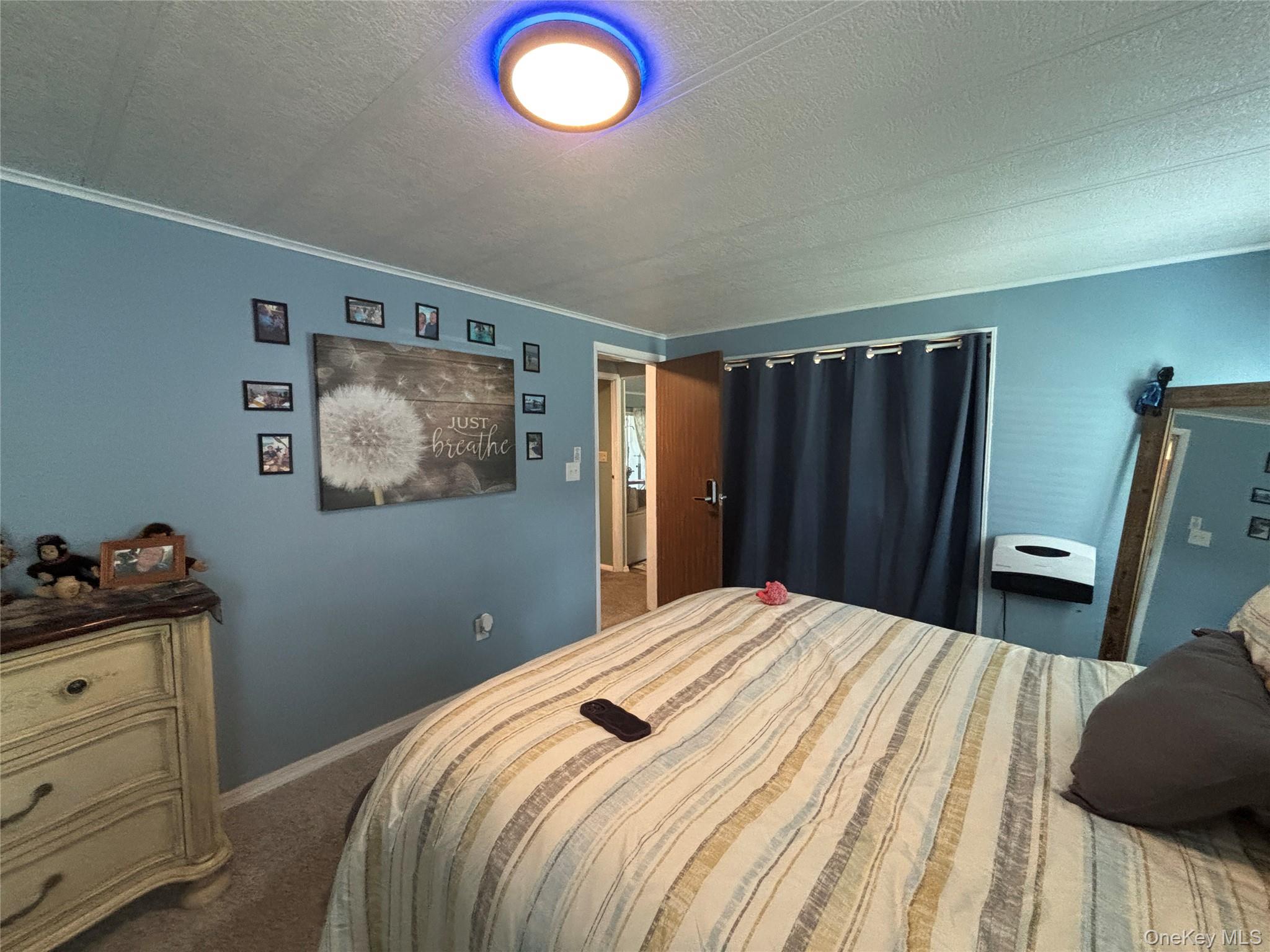 1661 Old Country Road, Unit 454 photo 35