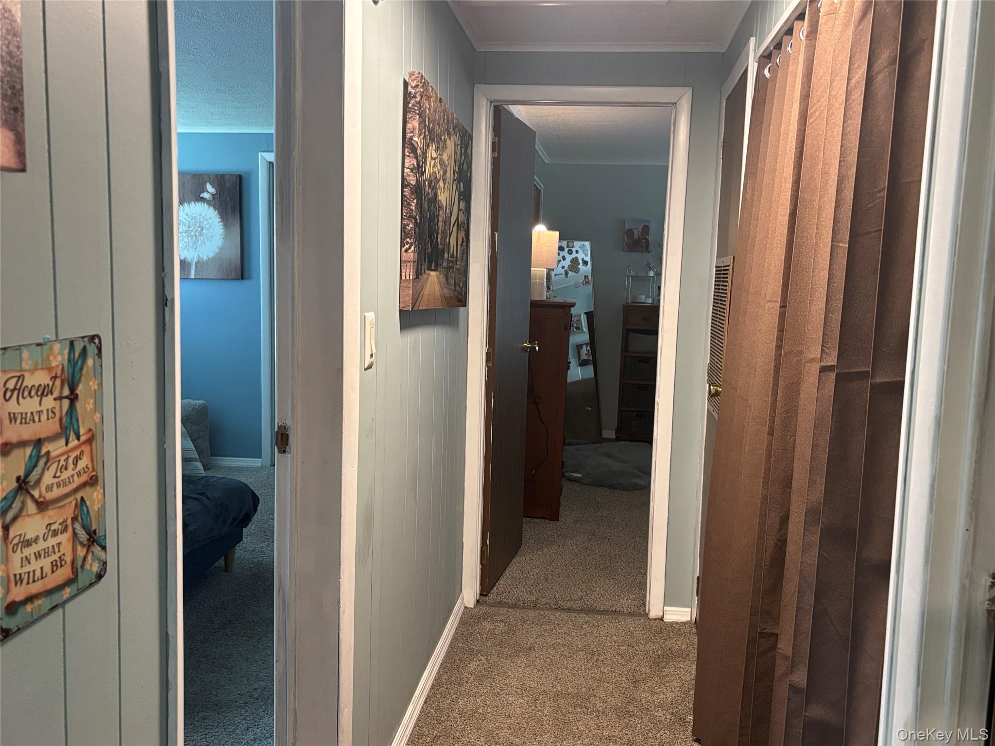 1661 Old Country Road, Unit 454 photo 26