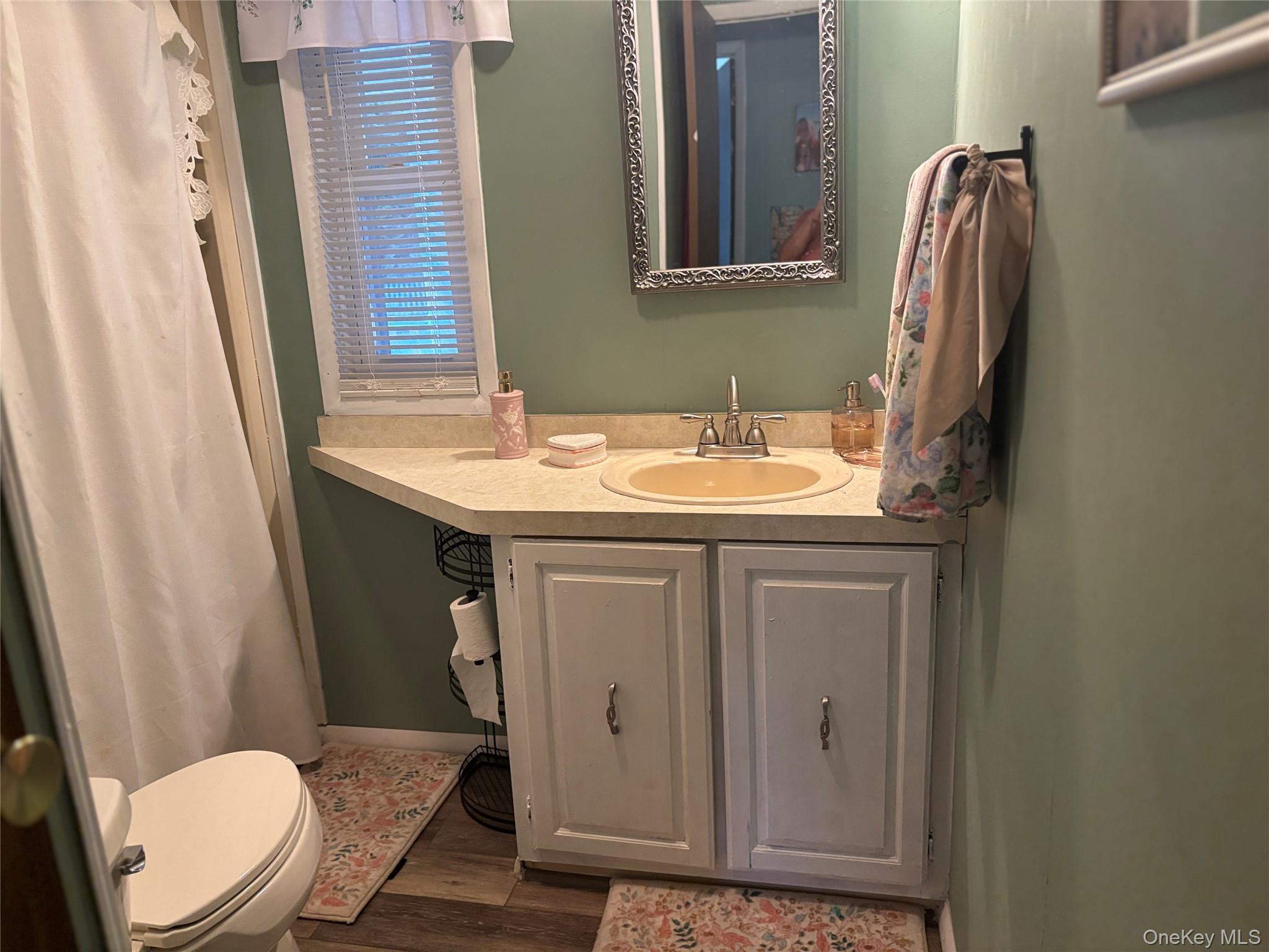 1661 Old Country Road, Unit 454 photo 41