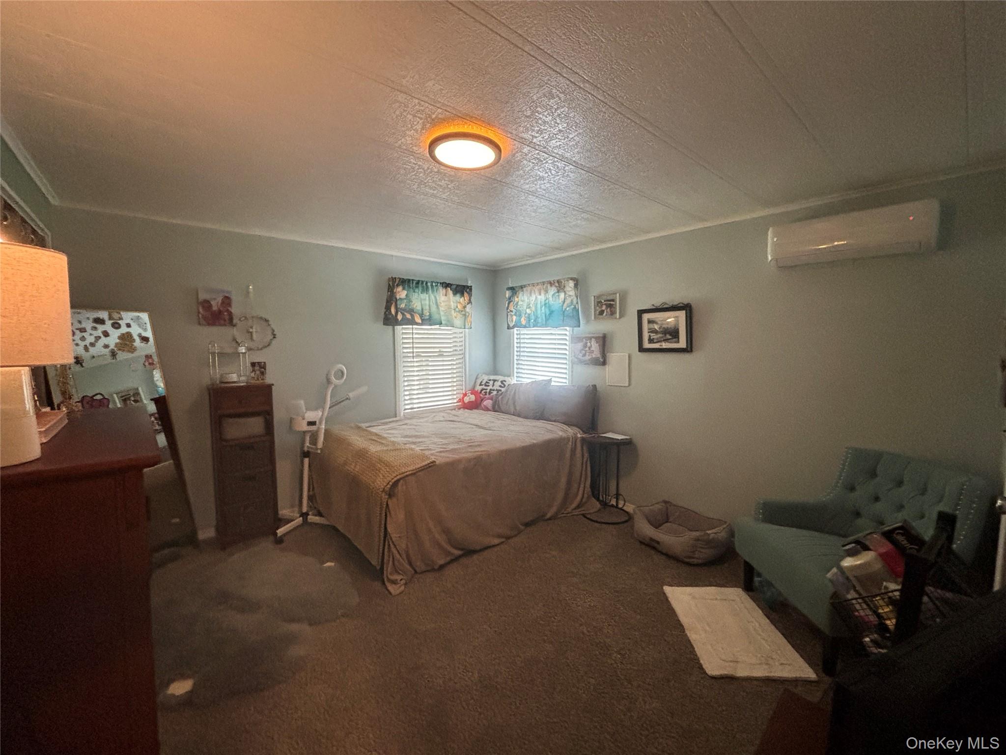 1661 Old Country Road, Unit 454 photo 37
