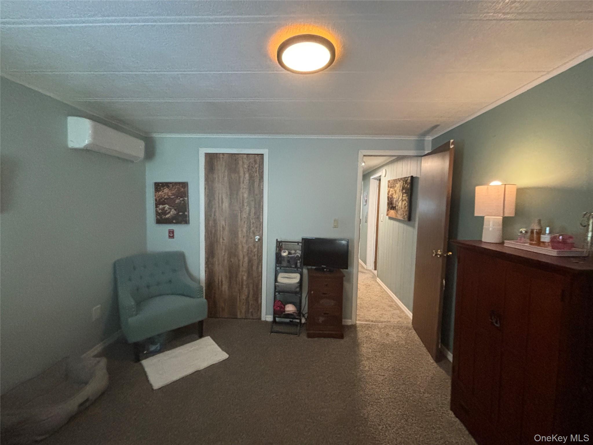 1661 Old Country Road, Unit 454 photo 38