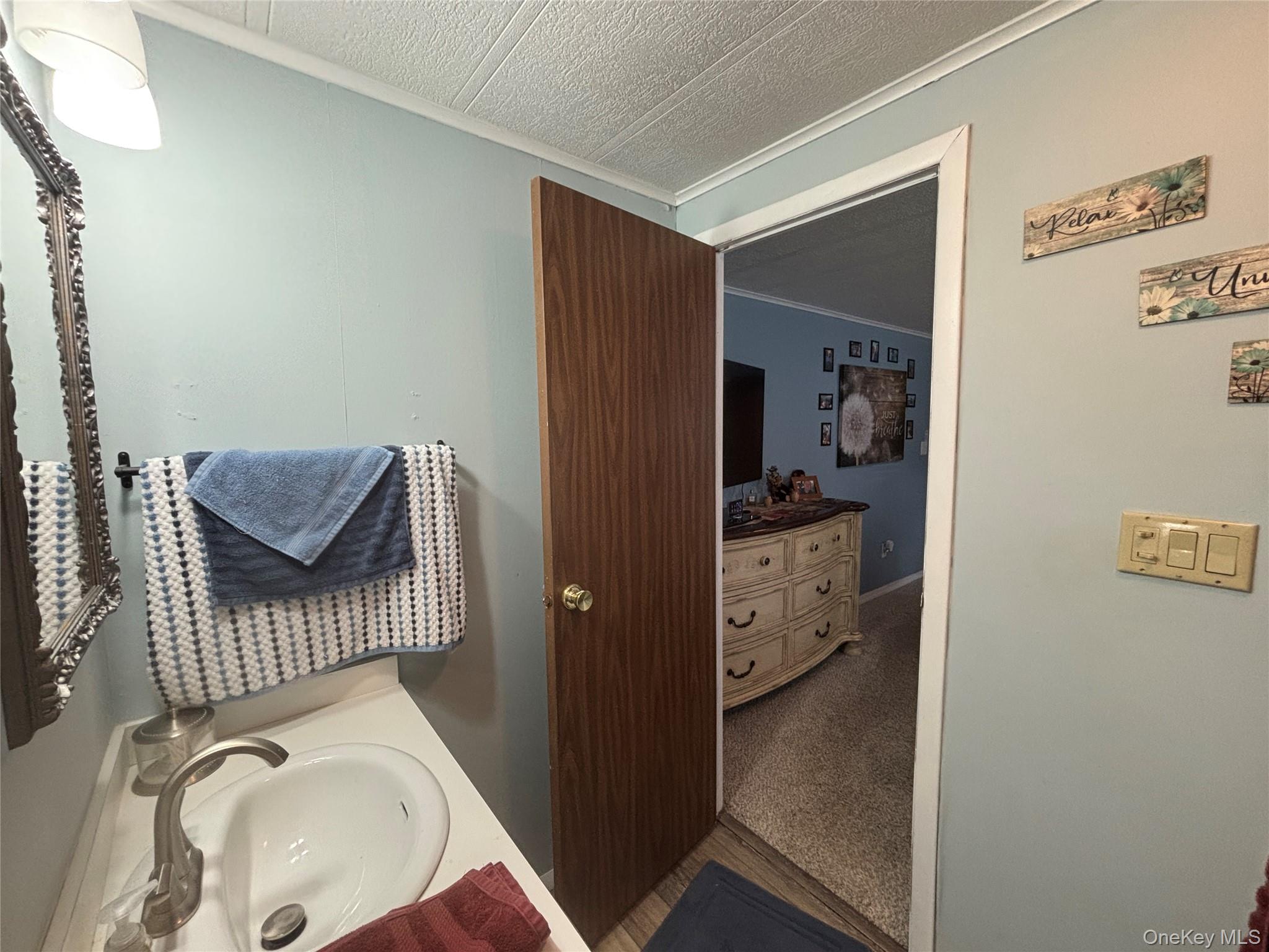 1661 Old Country Road, Unit 454 photo 32