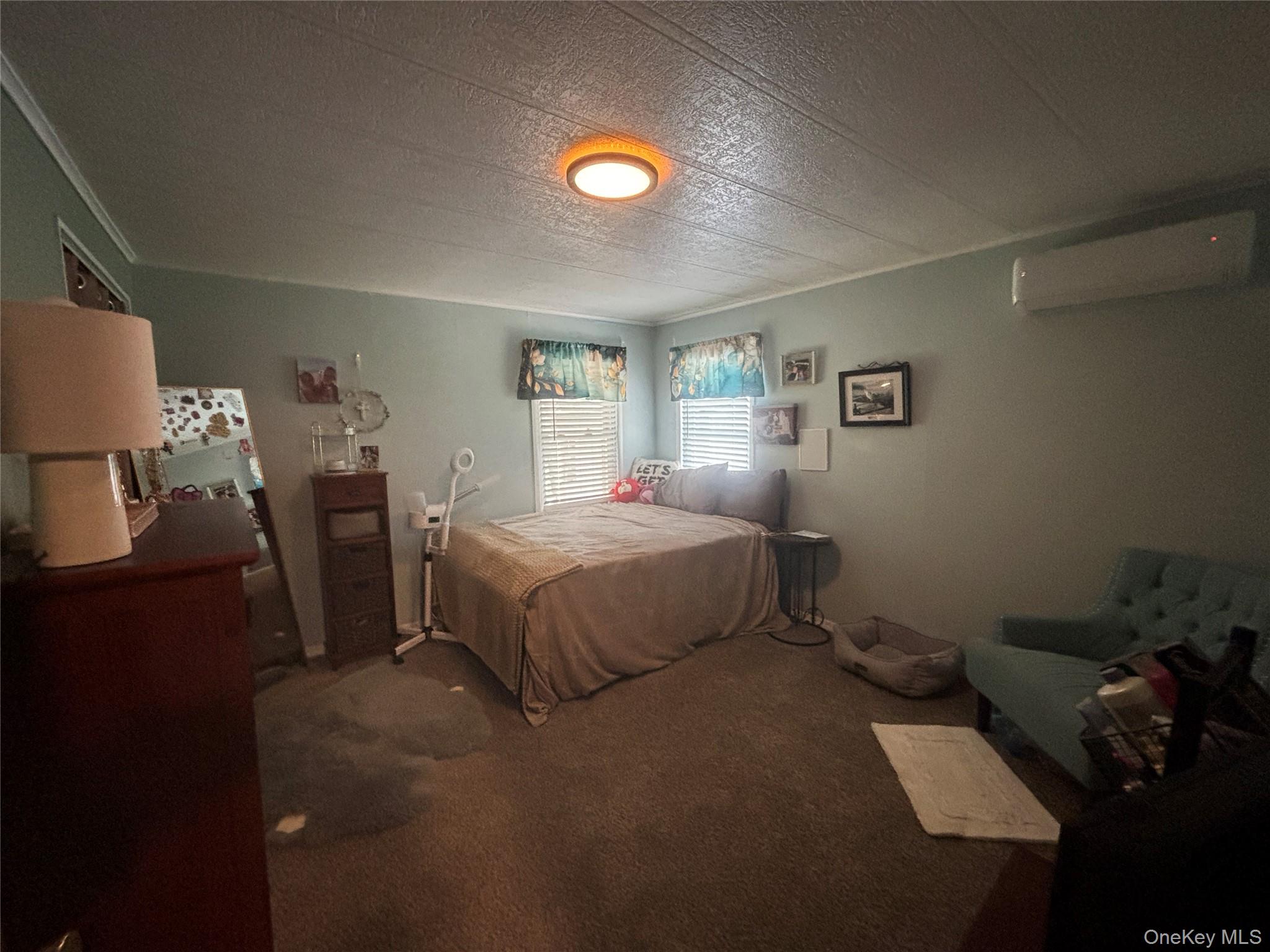 1661 Old Country Road, Unit 454 photo 36