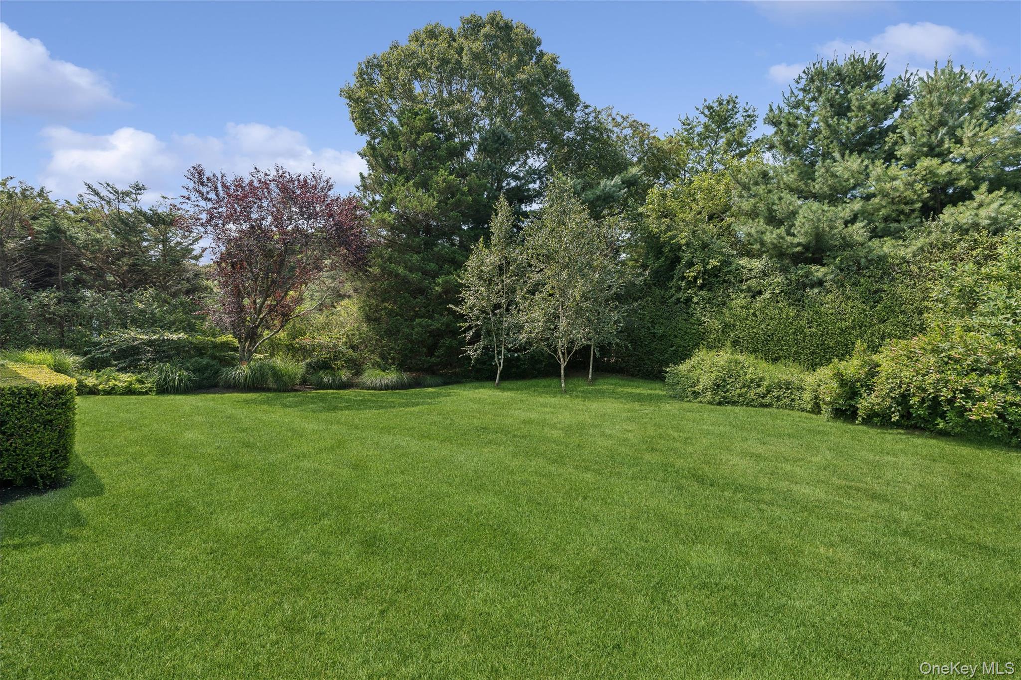 245 Meadows W – For Sale photo 39