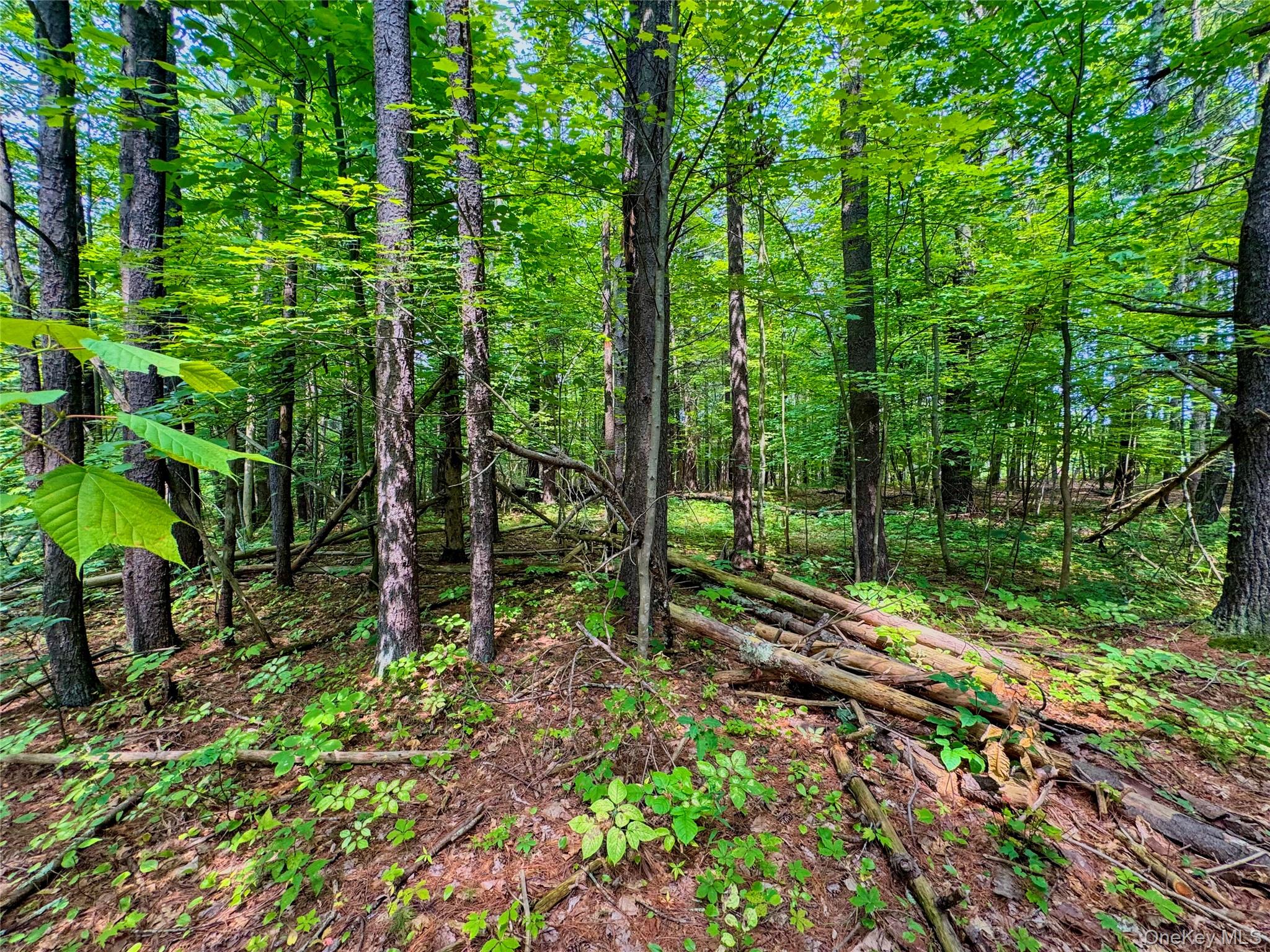 4480 State Route 23 – For Sale photo 4