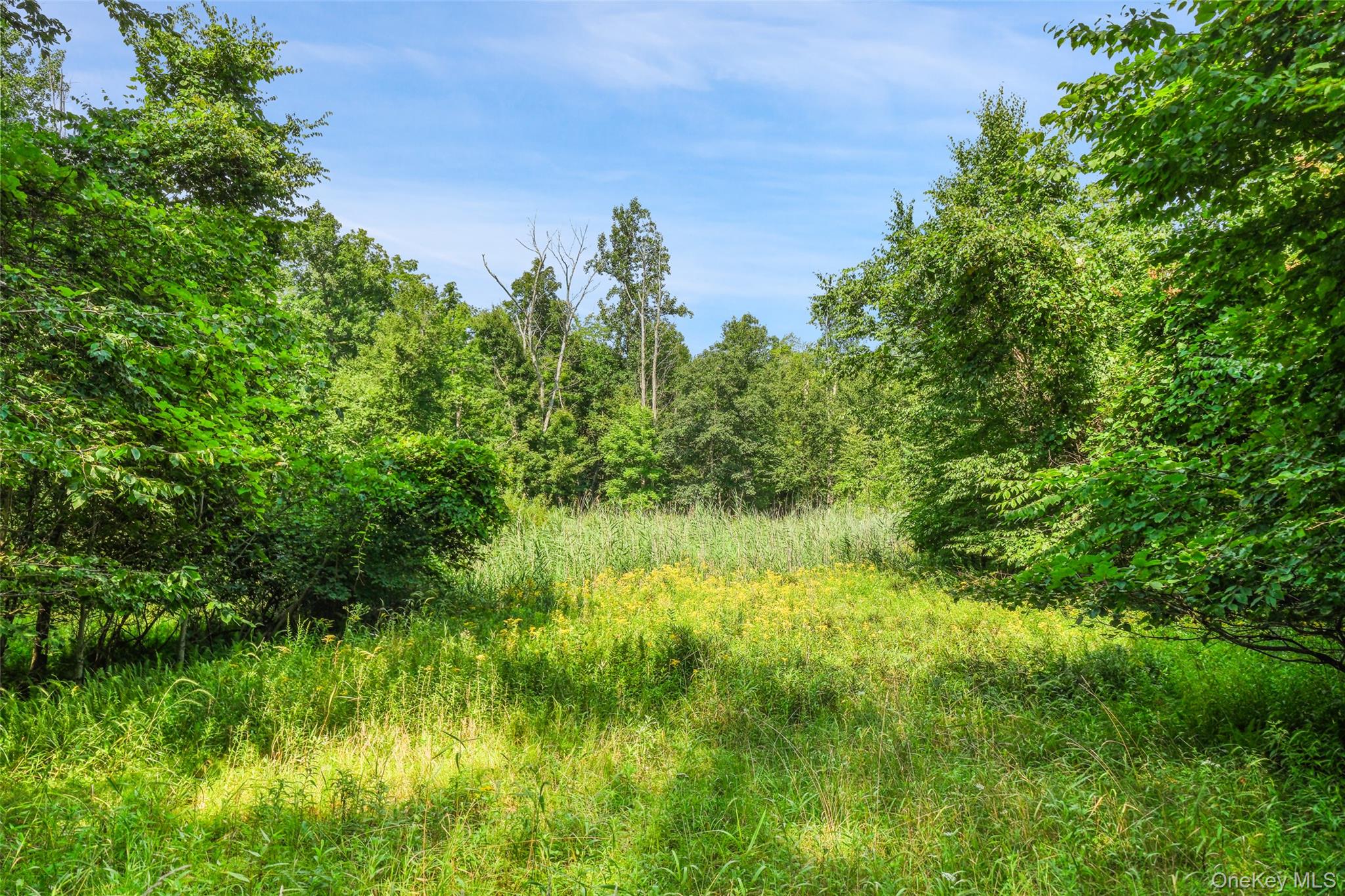 346 Oak Ridge Road – For Sale photo 14