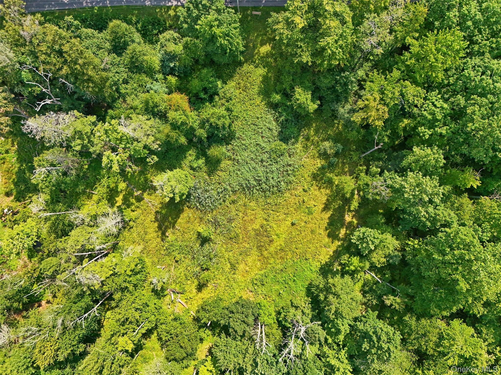 346 Oak Ridge Road – For Sale photo 5