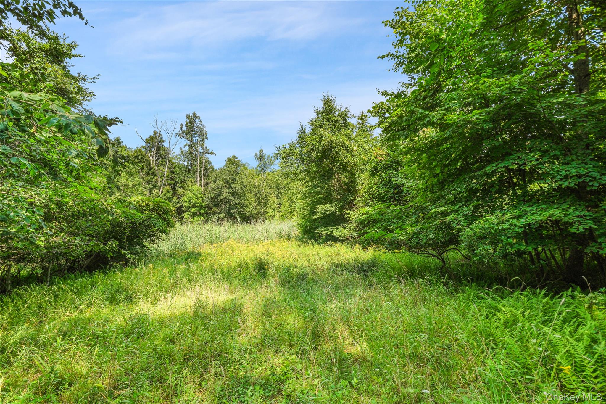 346 Oak Ridge Road – For Sale photo 13