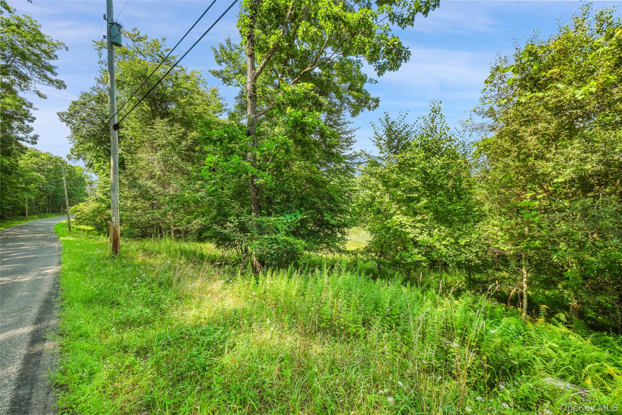 346 Oak Ridge Road – For Sale photo 23
