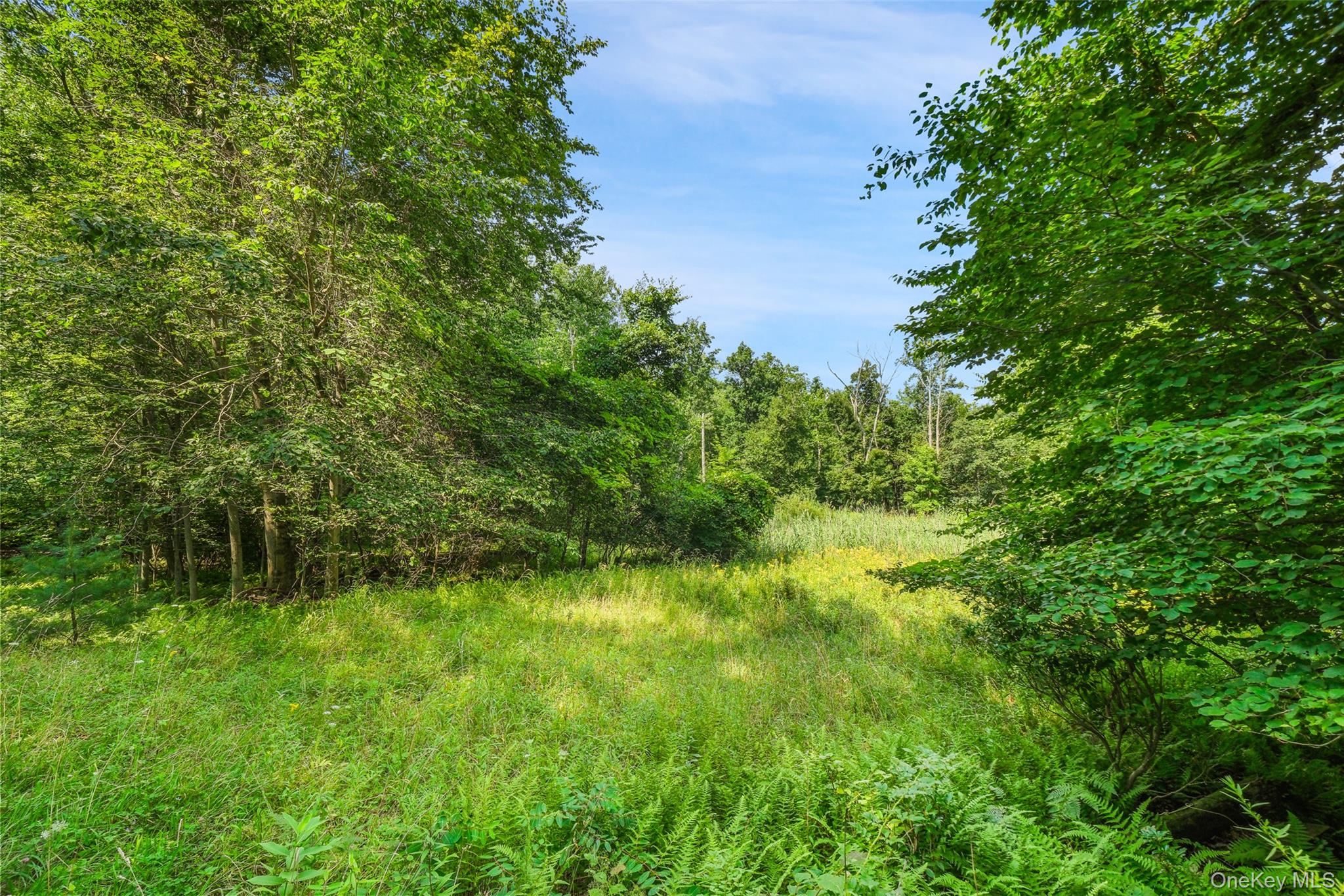 346 Oak Ridge Road – For Sale photo 15