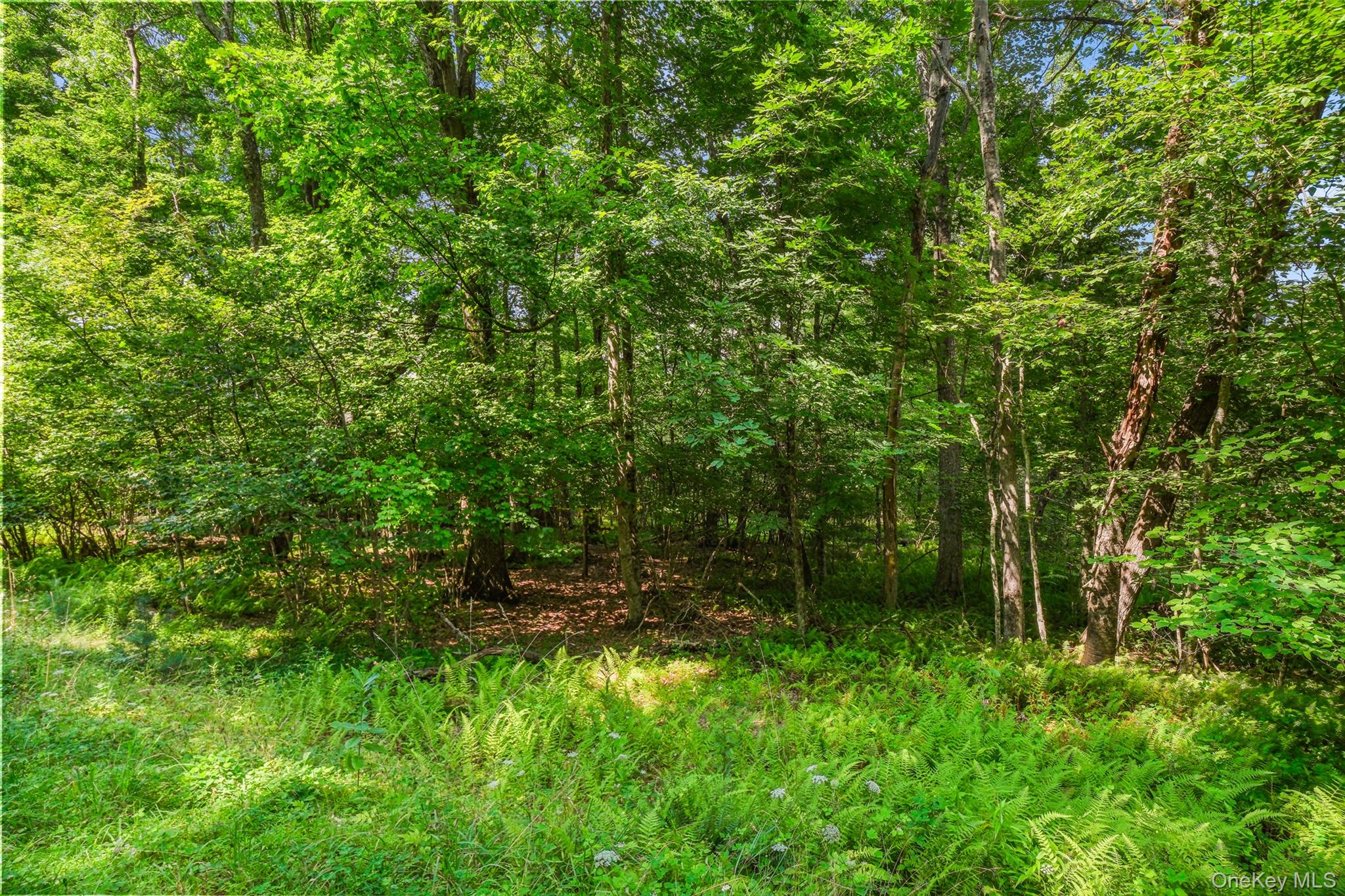 346 Oak Ridge Road – For Sale photo 20