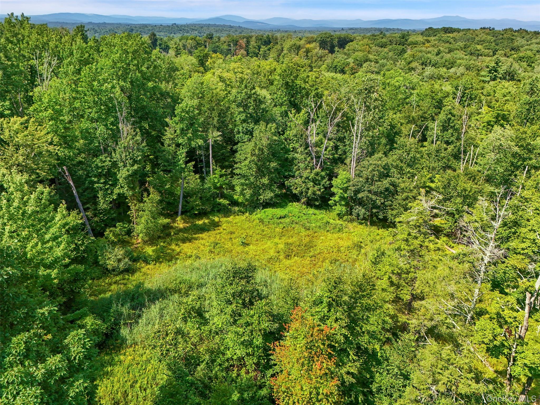 346 Oak Ridge Road – For Sale photo 11