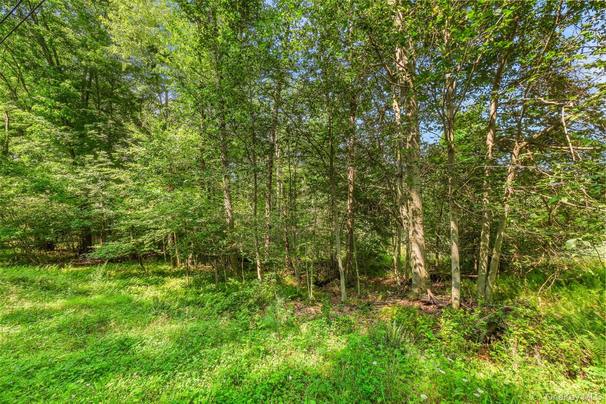 346 Oak Ridge Road – For Sale photo 18
