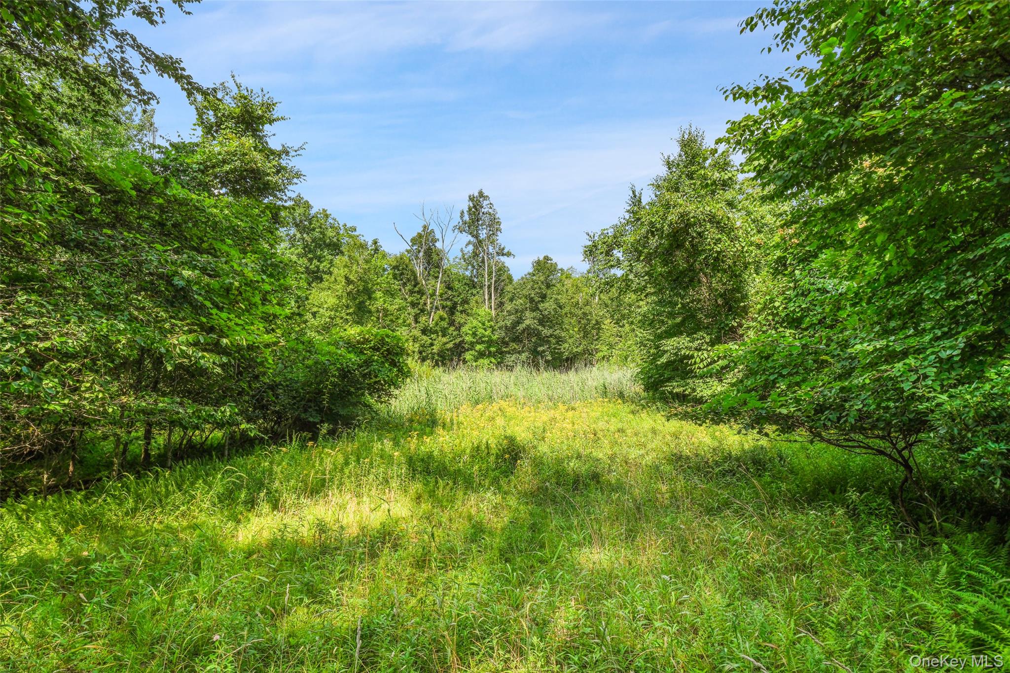 346 Oak Ridge Road – For Sale