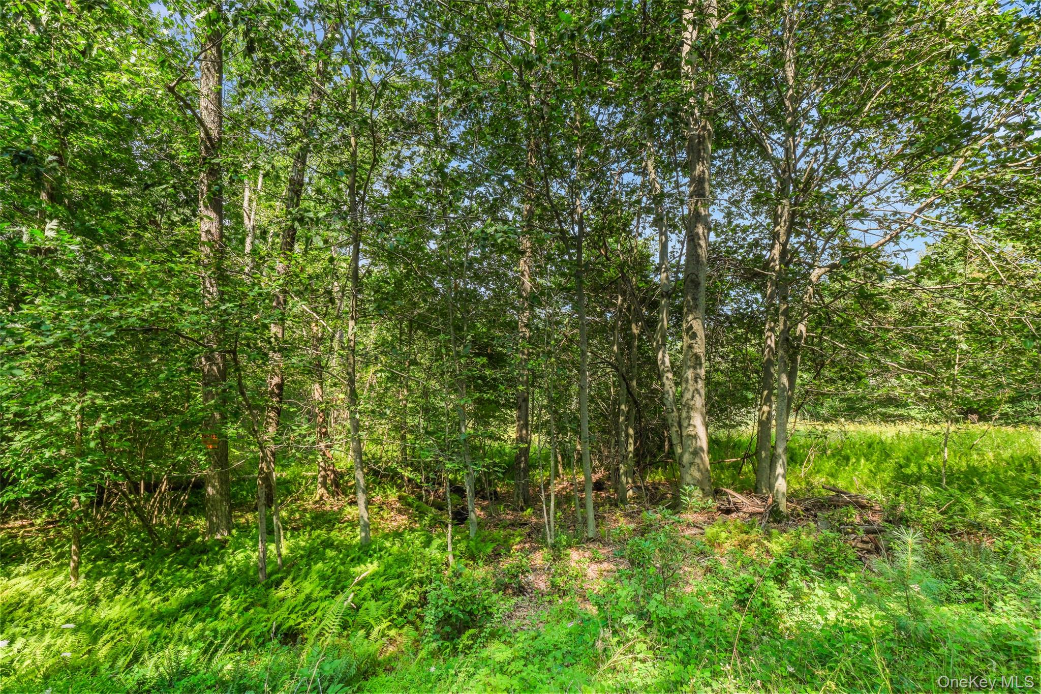 346 Oak Ridge Road – For Sale photo 21