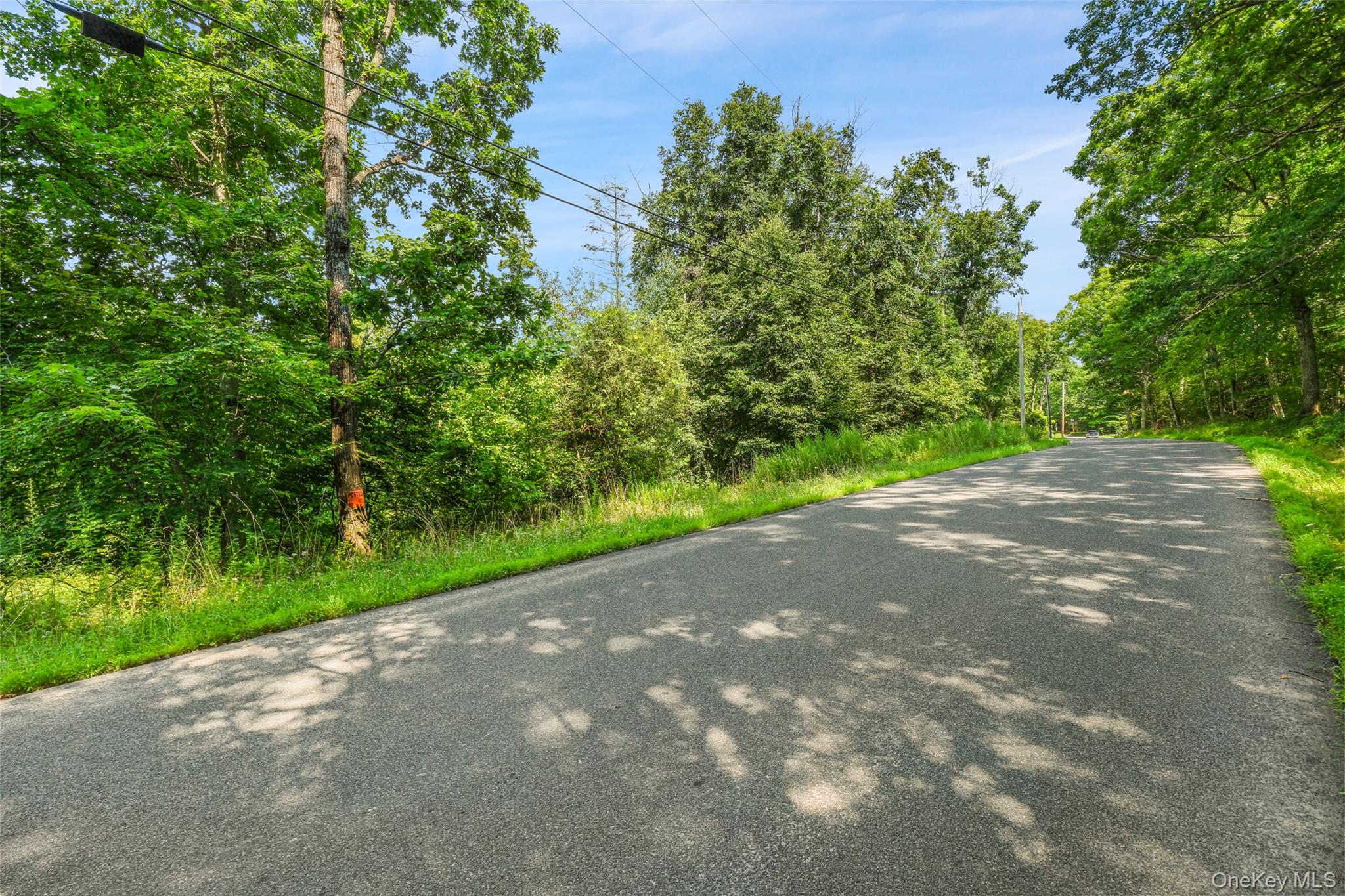 346 Oak Ridge Road – For Sale photo 17