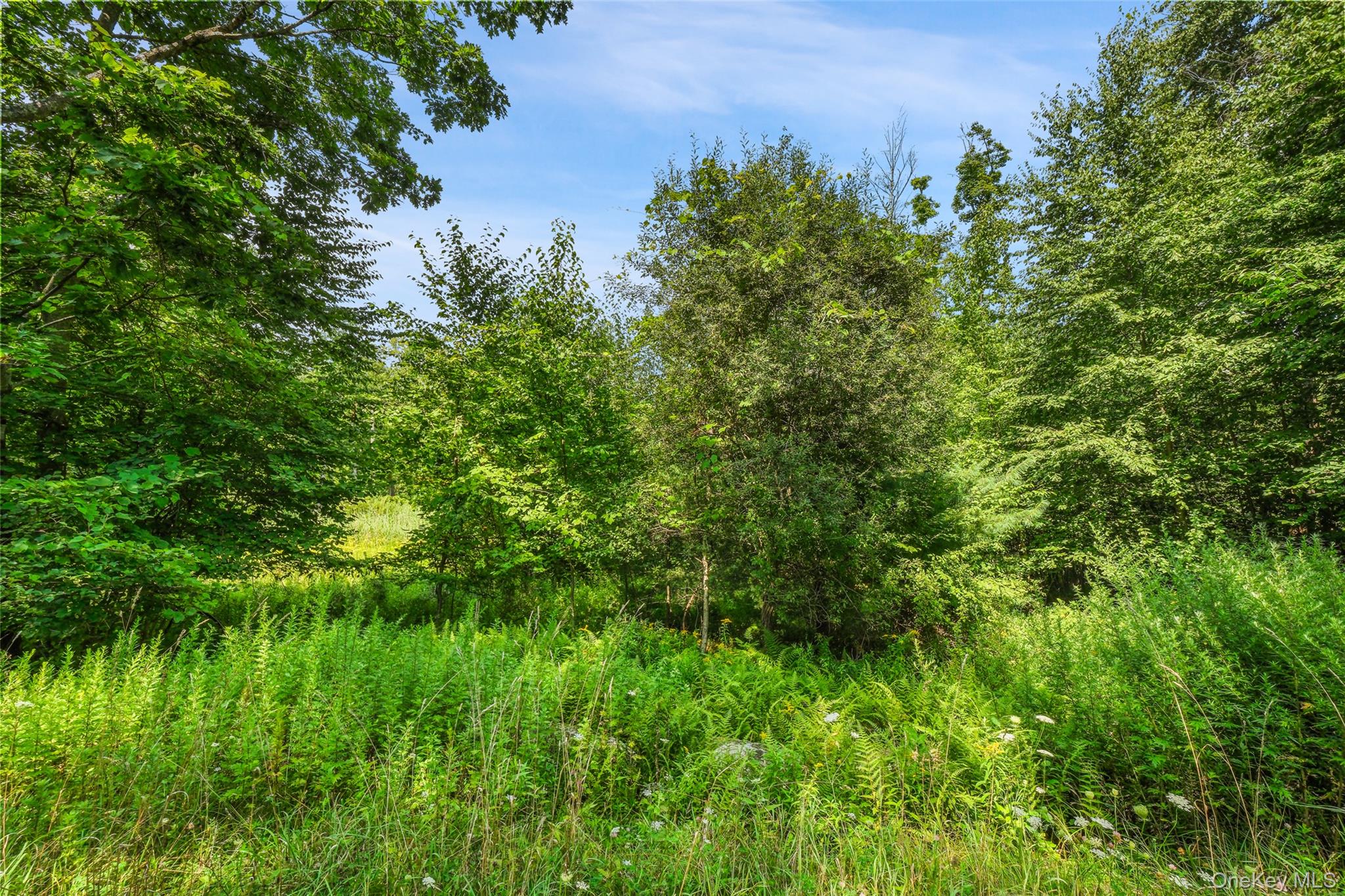 346 Oak Ridge Road – For Sale photo 22
