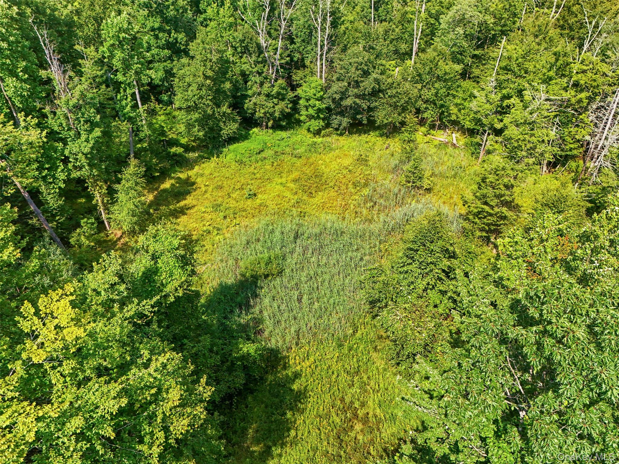 346 Oak Ridge Road – For Sale photo 10