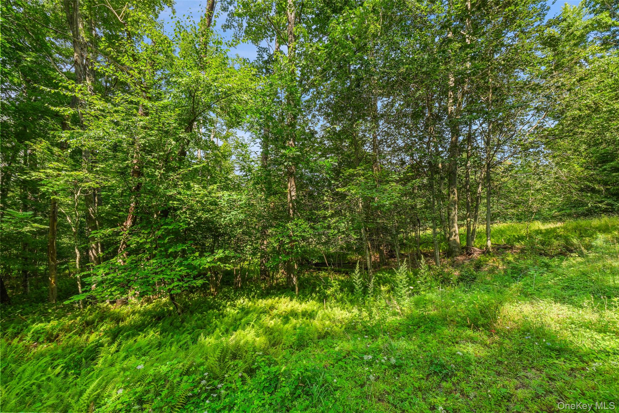 346 Oak Ridge Road – For Sale photo 19
