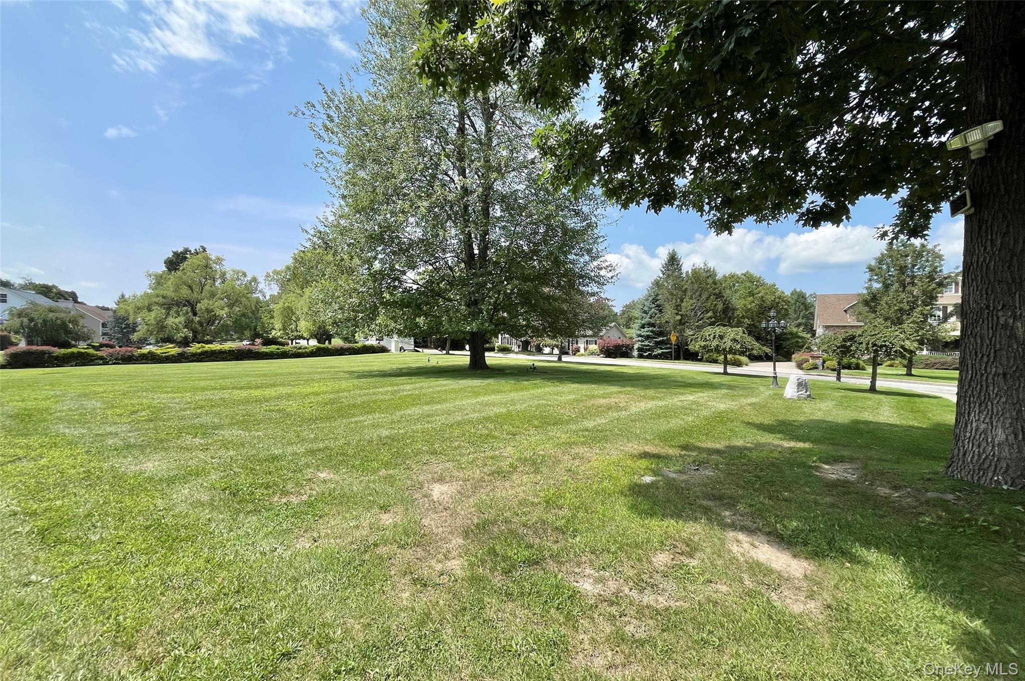 7 Frances Lane – For Sale photo 41