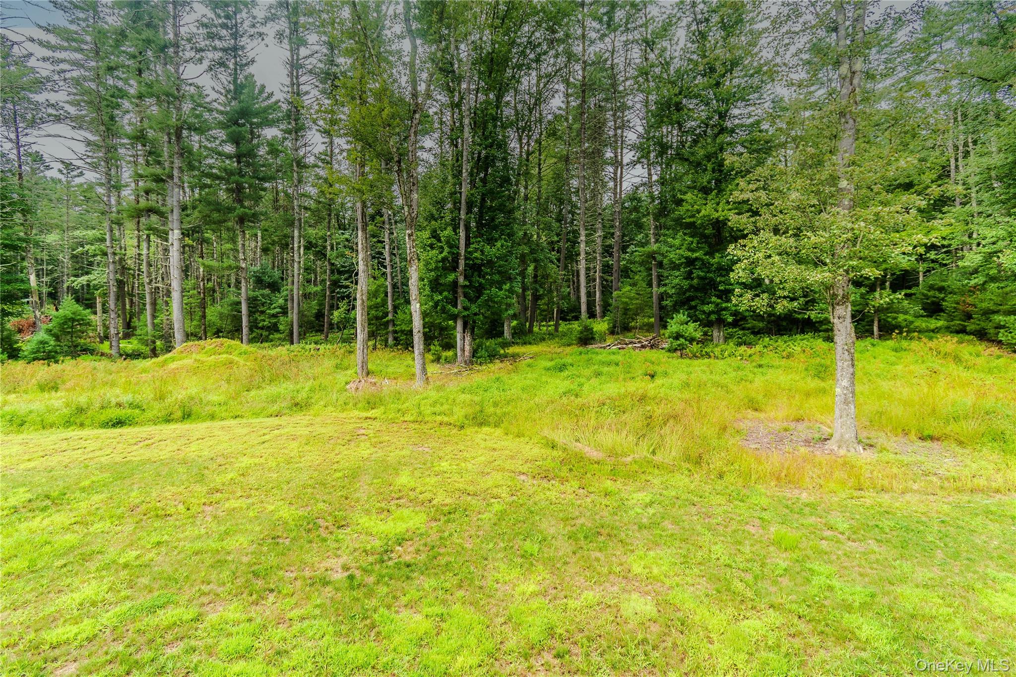 26 Summit Drive – For Sale photo 30