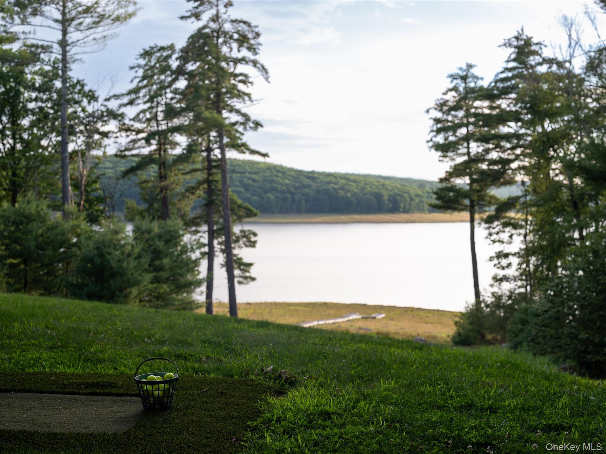 60 Top Ridge Trail – For Sale photo 4