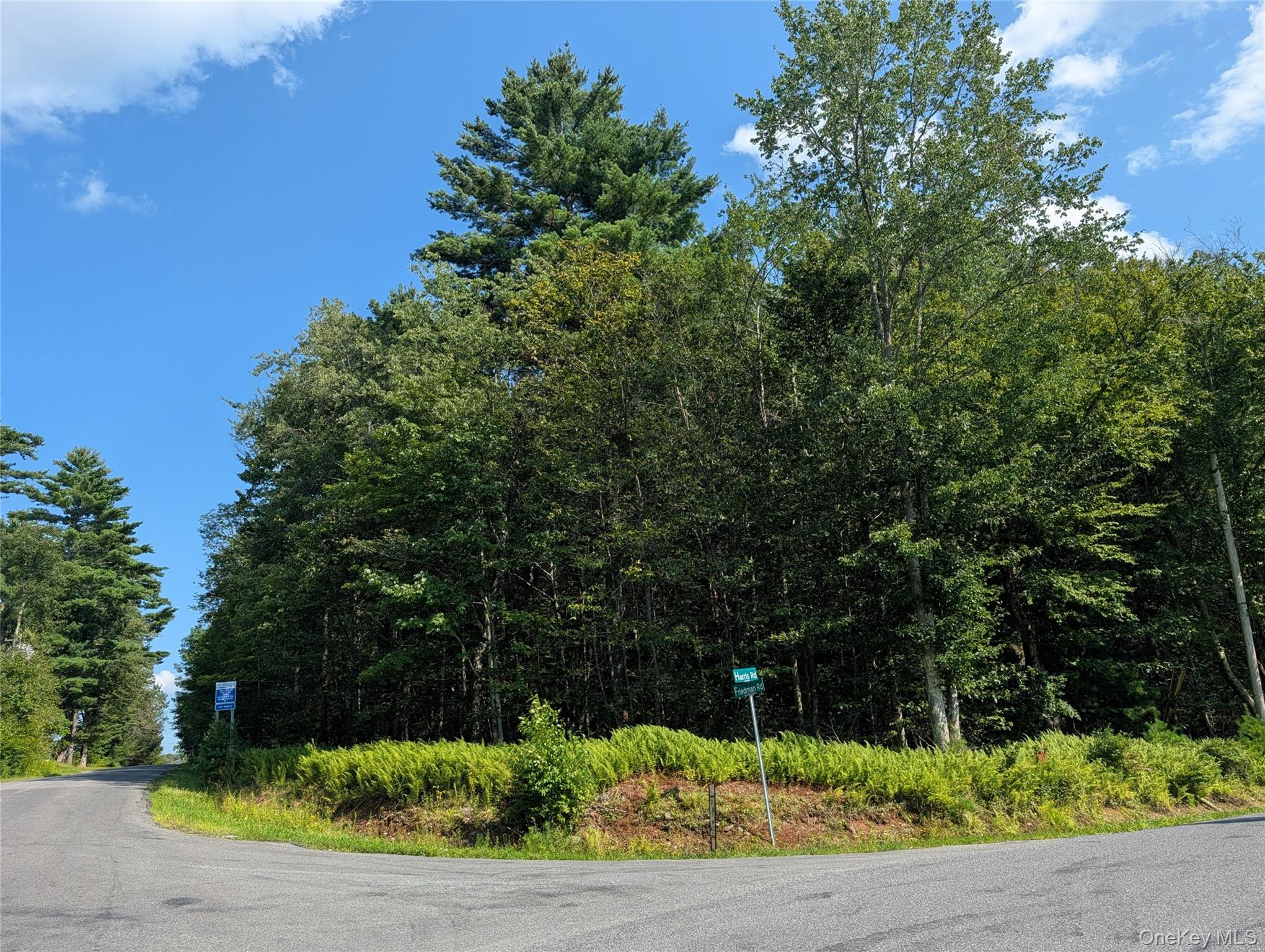 Harris Road – For Sale photo 3