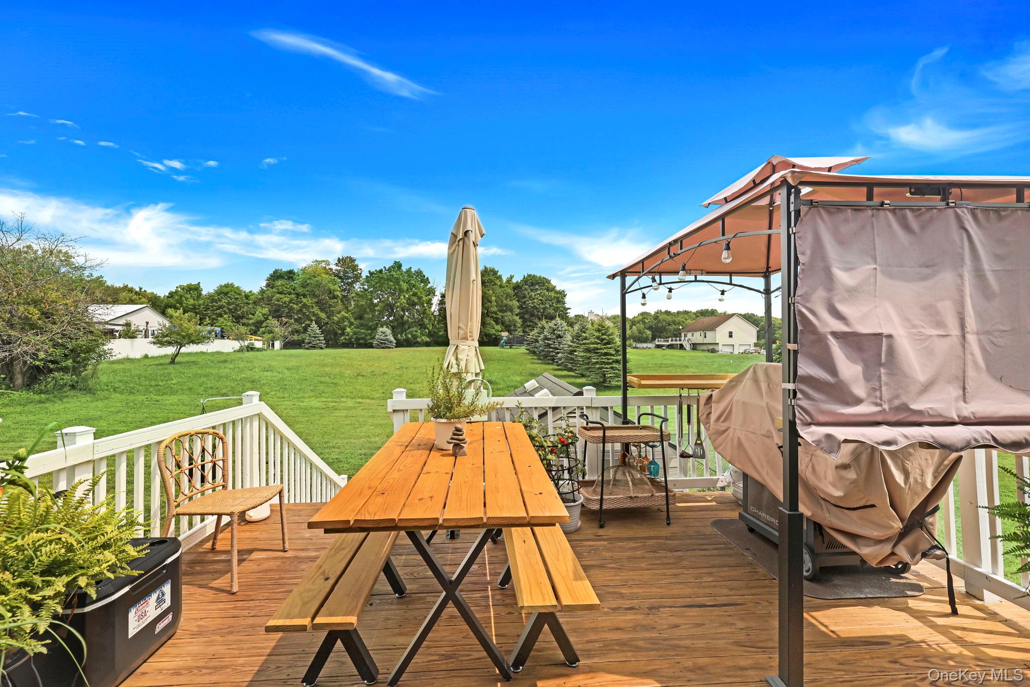 31 Mt Hope Avenue – For Sale photo 30