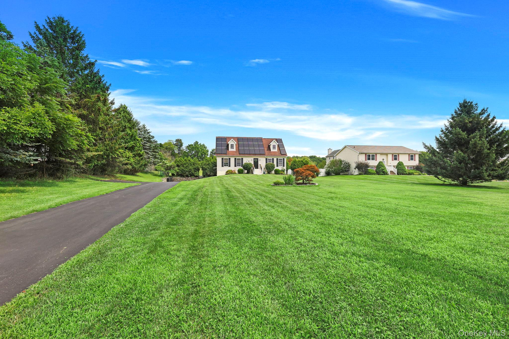 31 Mt Hope Avenue – For Sale photo 2