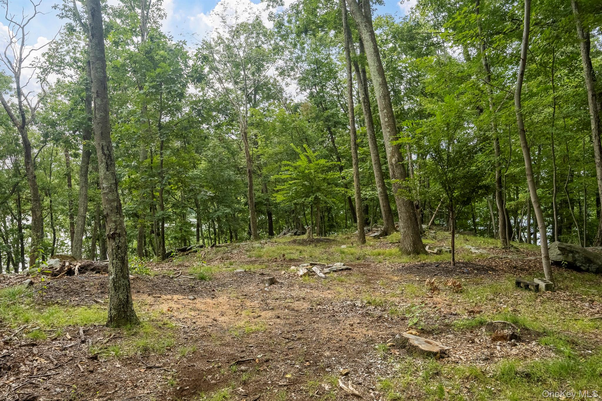 47 Rock Road N – For Sale photo 5