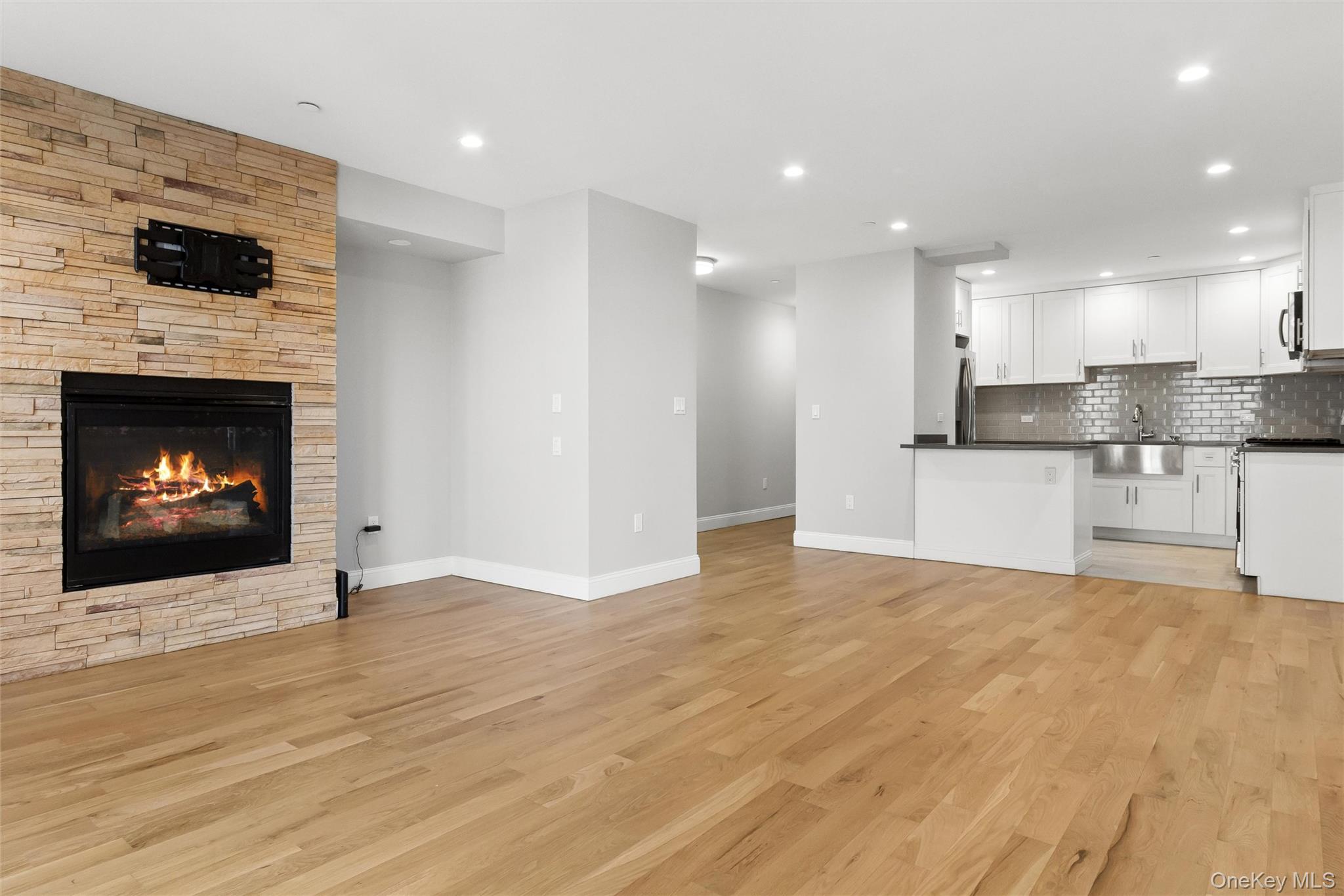 661 W Broadway, Unit 204 photo 4