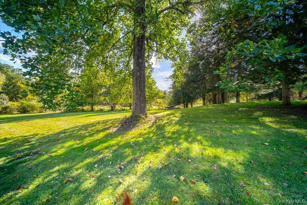 58 Ryerson Road – For Sale photo 38