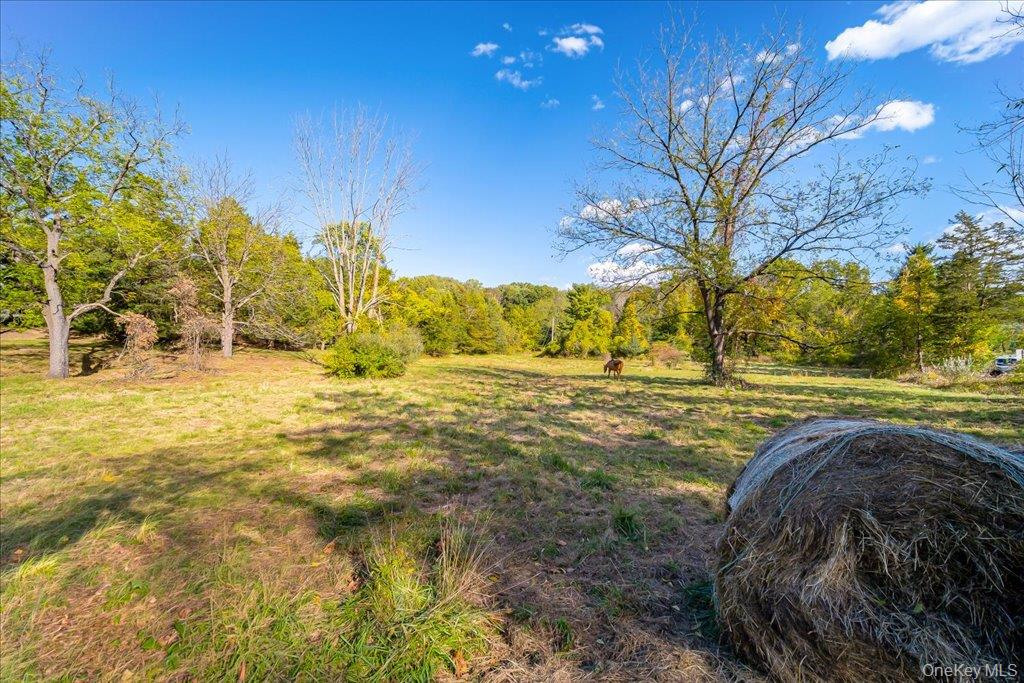 58 Ryerson Road – For Sale photo 28