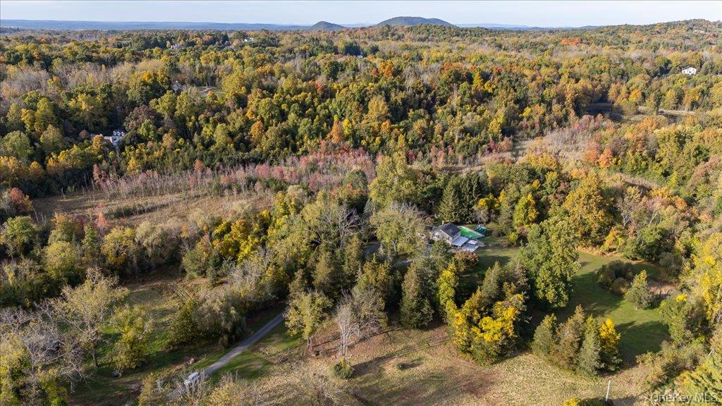 58 Ryerson Road – For Sale photo 45