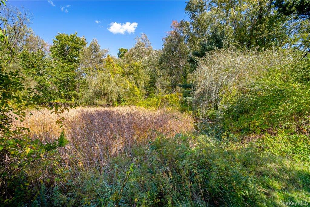 58 Ryerson Road – For Sale photo 39