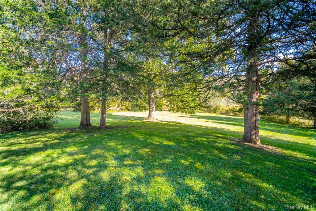 58 Ryerson Road – For Sale photo 37