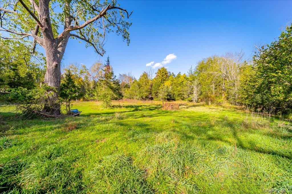 58 Ryerson Road – For Sale photo 31