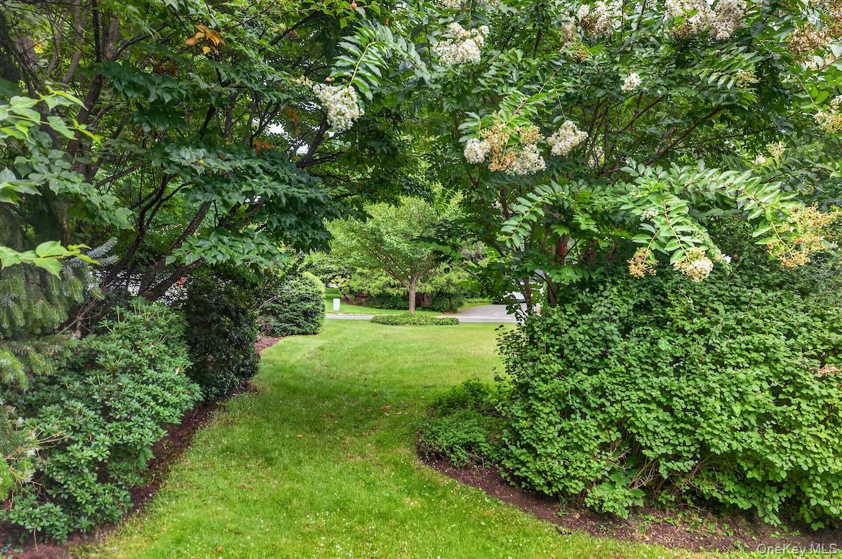 169 Clinton Avenue – For Sale photo 42
