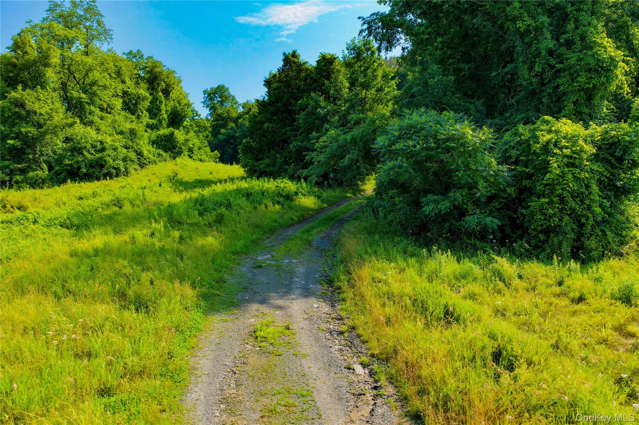 2620 State Route 9H – For Sale photo 6