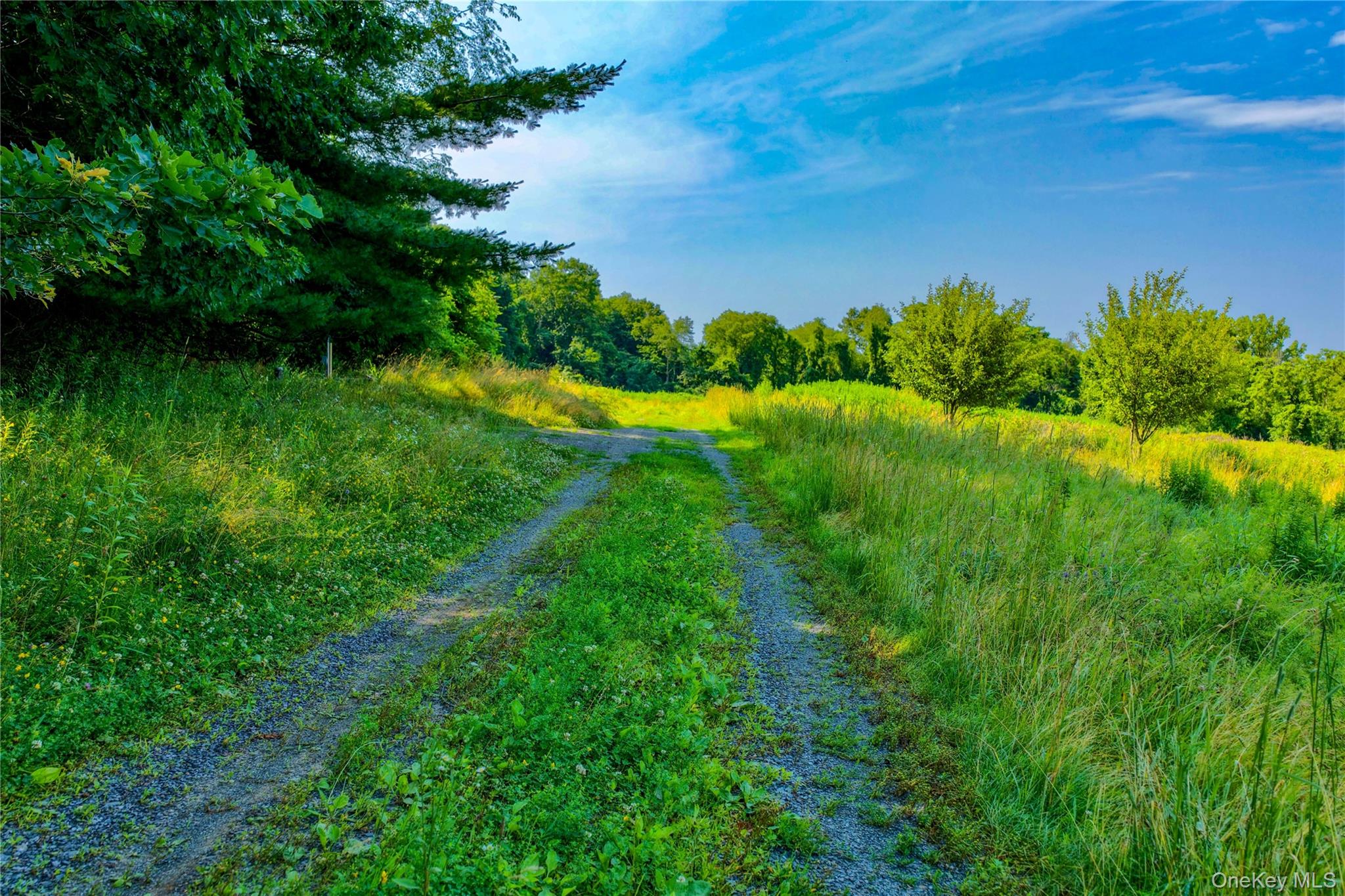 2620 State Route 9H – For Sale photo 7